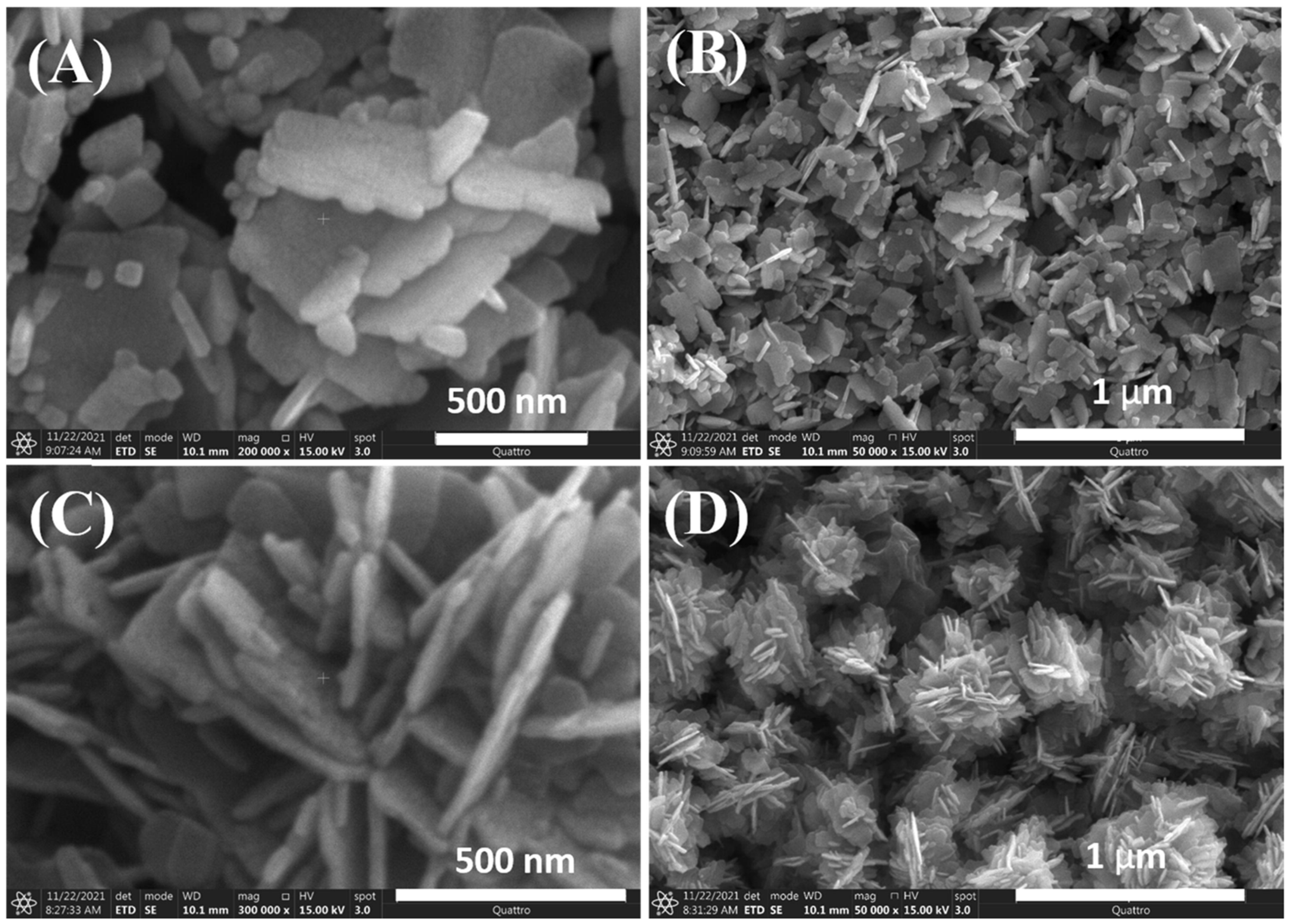Nanomaterials 15 00609 g003