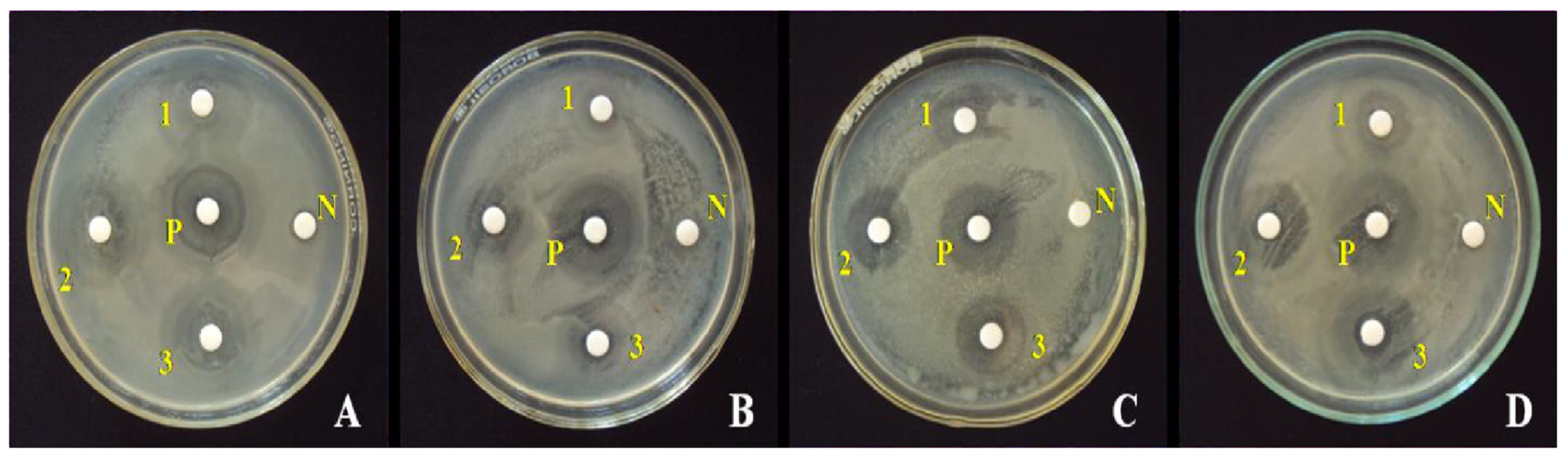 Nanomaterials 15 00609 g012
