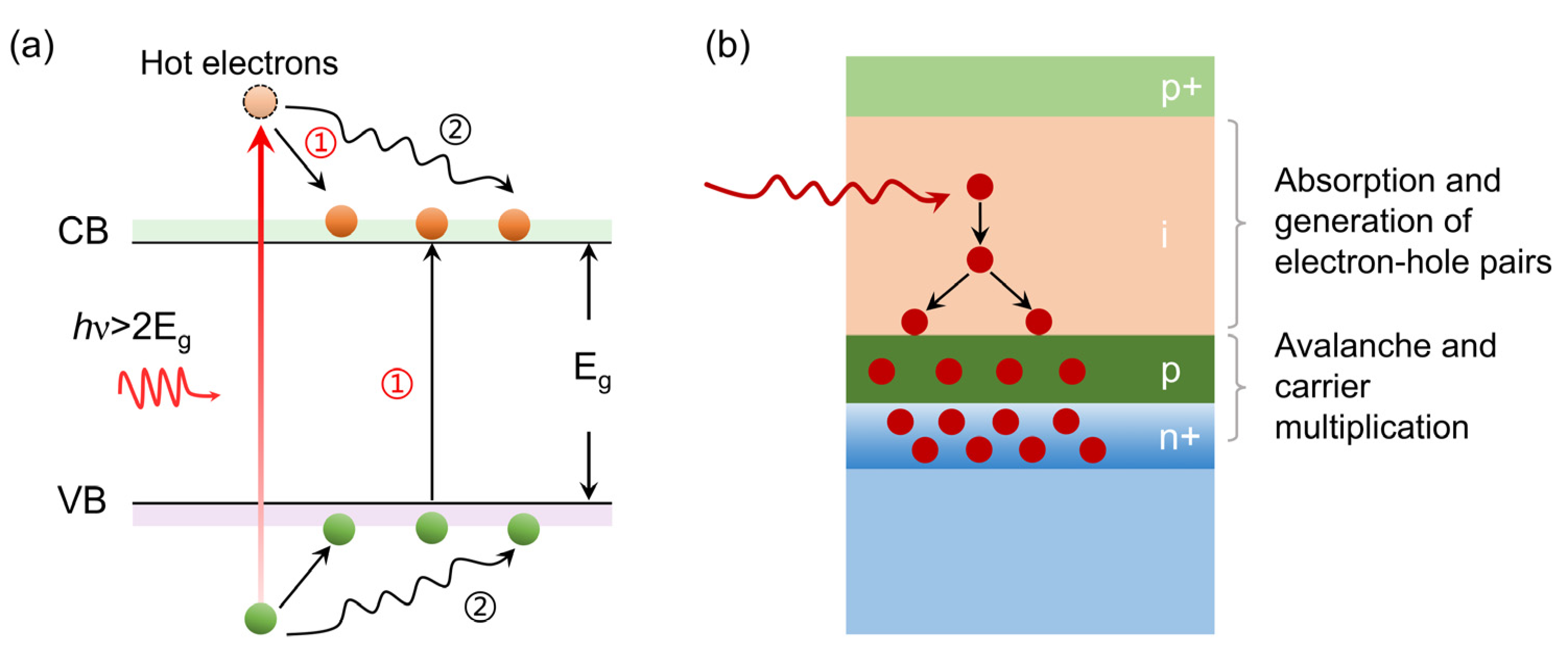 Nanomaterials 15 00636 g001 Nanomaterials 15 00636 g001