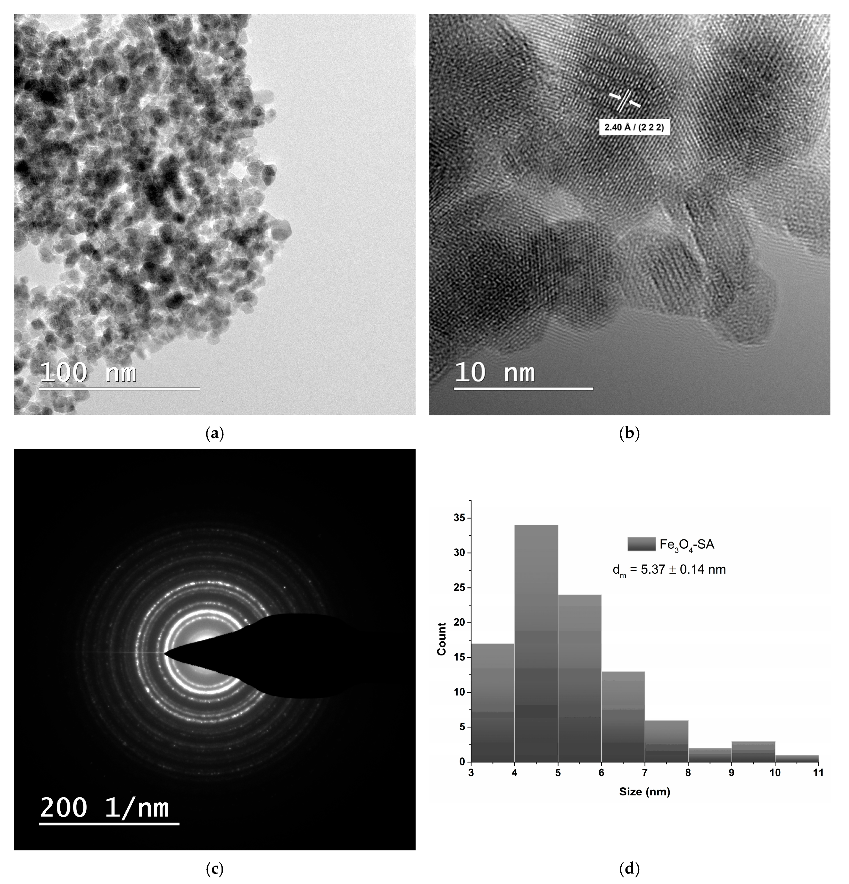 Nanomaterials 15 00637 g006