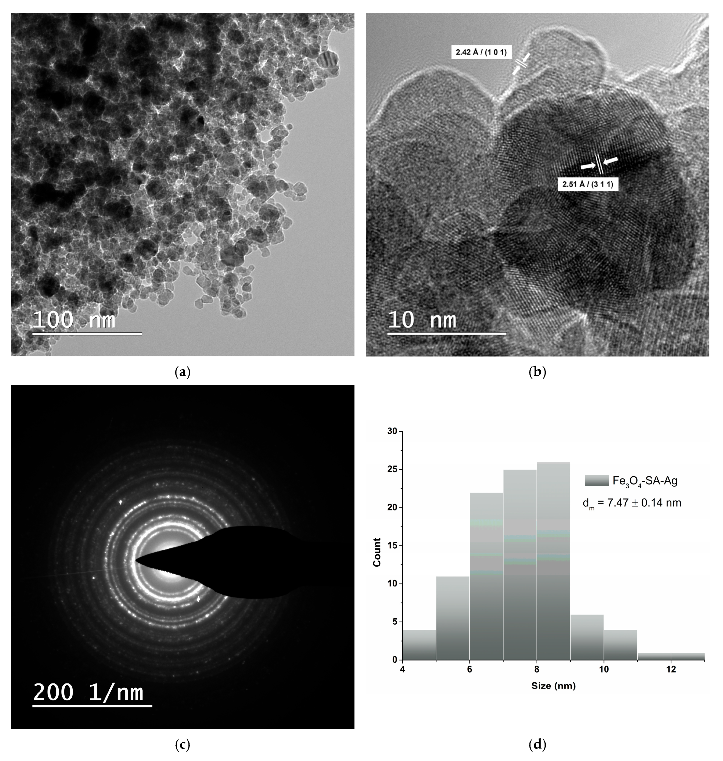 Nanomaterials 15 00637 g007
