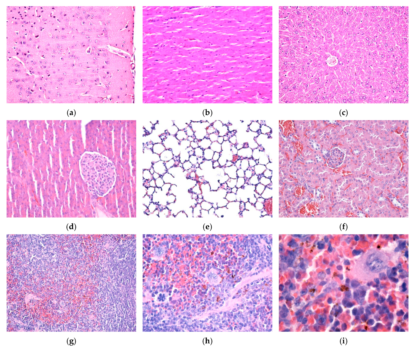 Nanomaterials 15 00637 g011