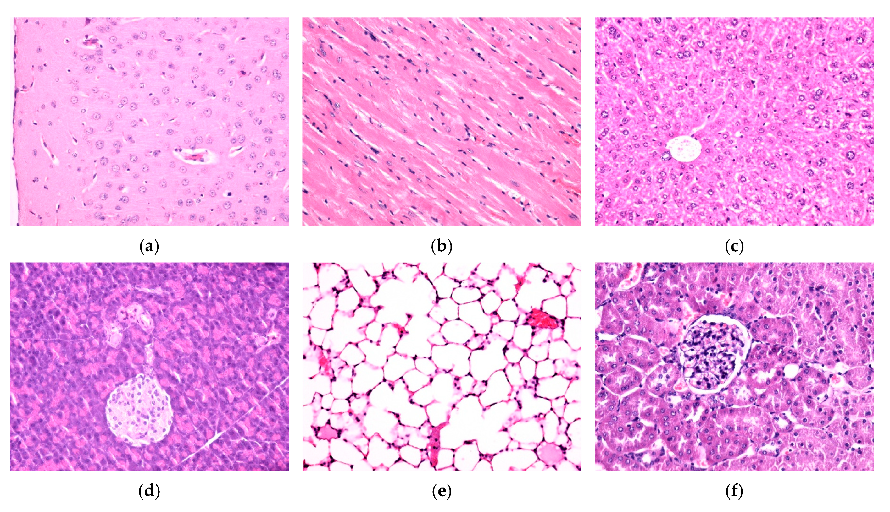Nanomaterials 15 00637 g012a