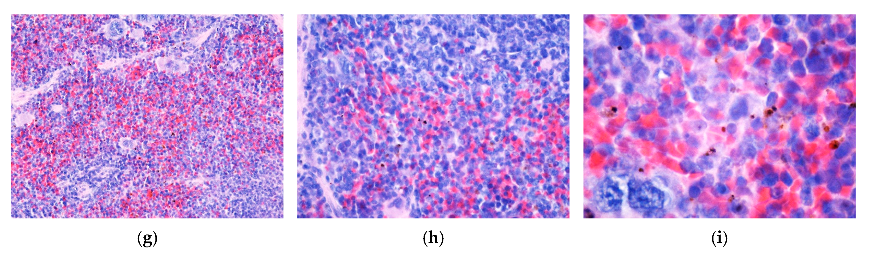 Nanomaterials 15 00637 g012b