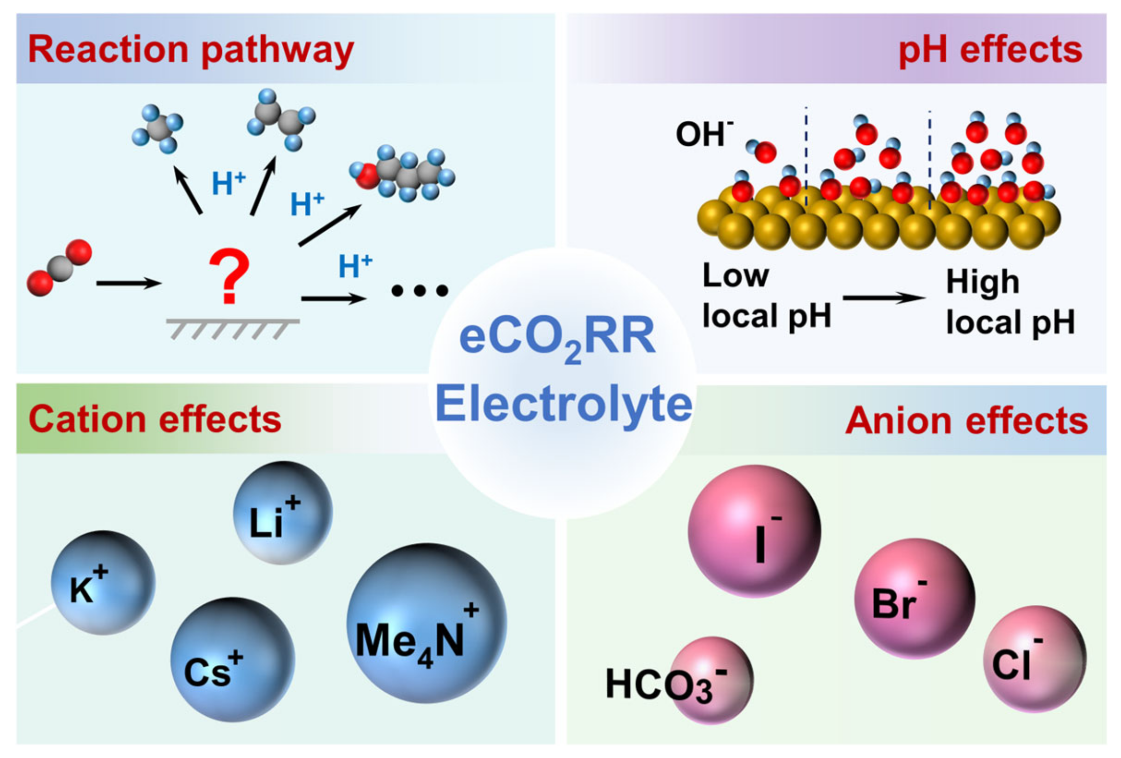 Nanomaterials 15 00648 g001
