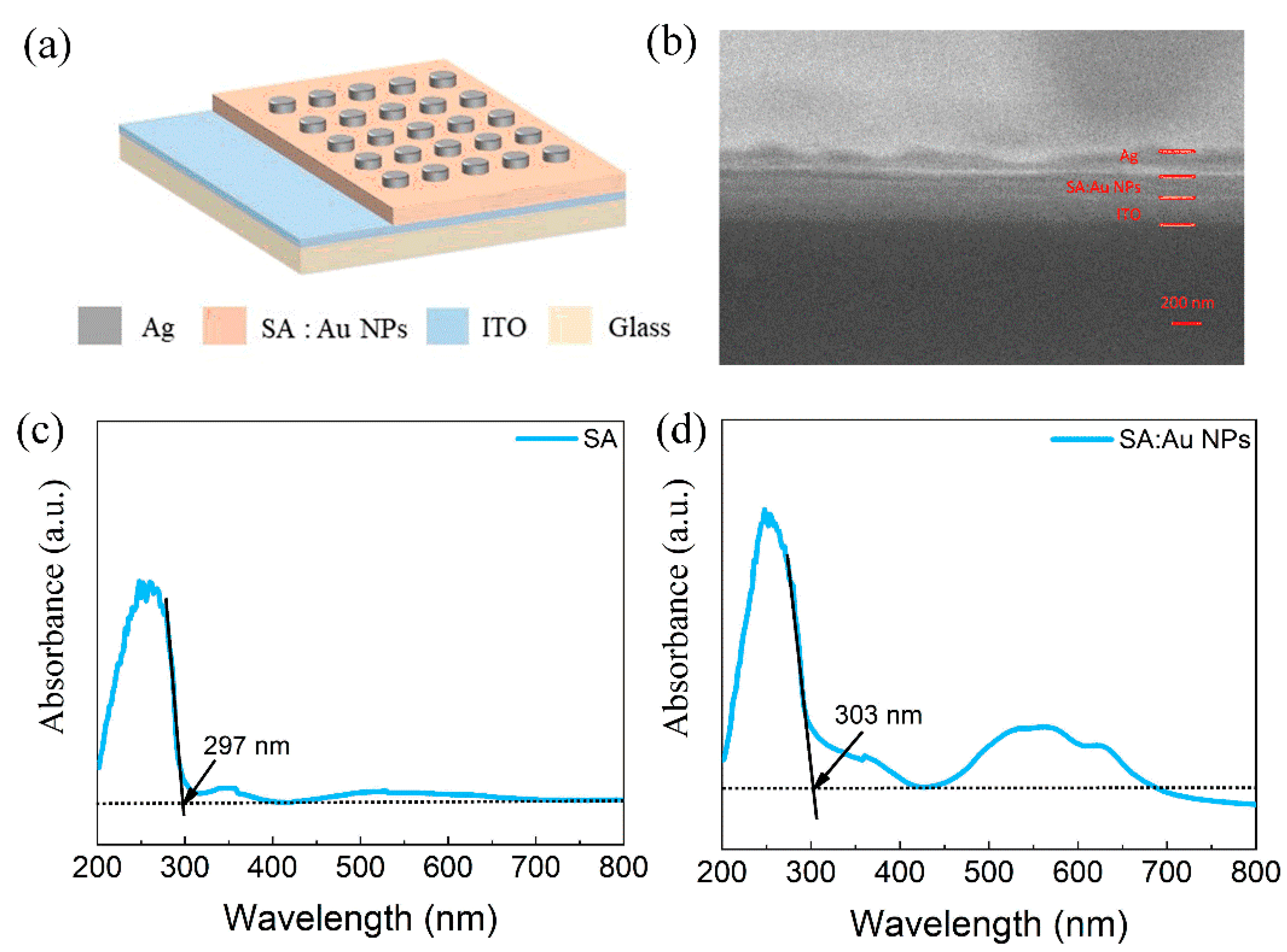 Nanomaterials 15 00659 g001