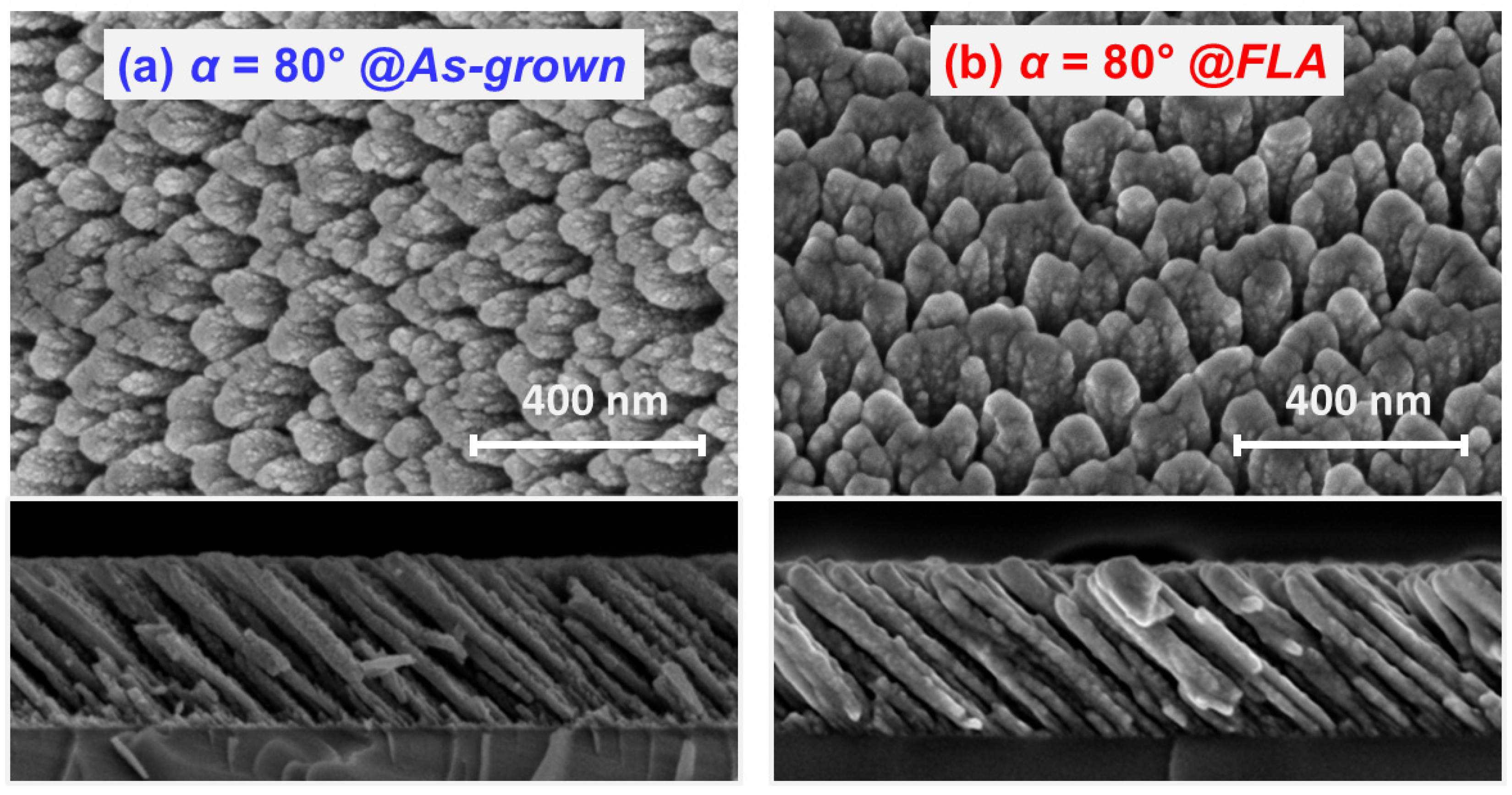 Nanomaterials 15 00662 g007