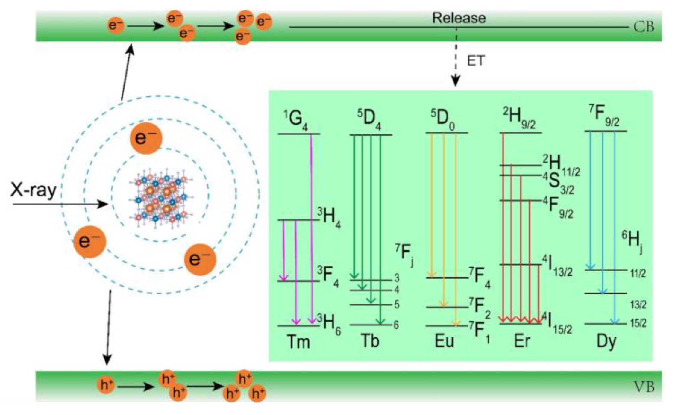 Nanomaterials 15 00728 g006