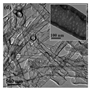 Nanomaterials 15 00956 i001