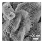 Nanomaterials 15 00956 i062