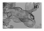 Nanomaterials 15 00956 i072