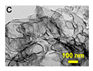 Nanomaterials 15 00956 i073
