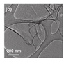 Nanomaterials 15 00956 i092