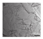 Nanomaterials 15 00956 i093