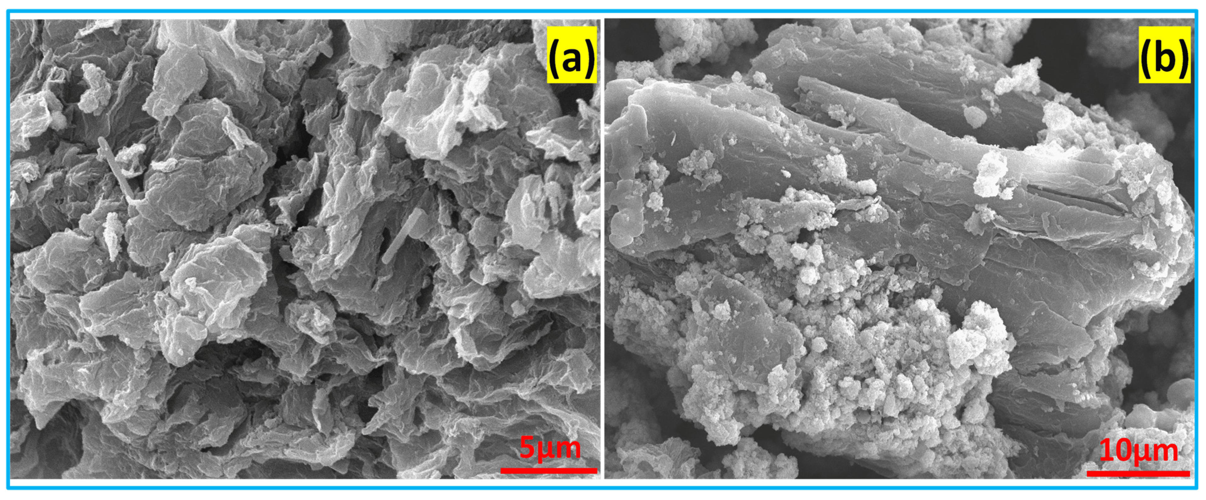 Nanomaterials 15 01028 g004