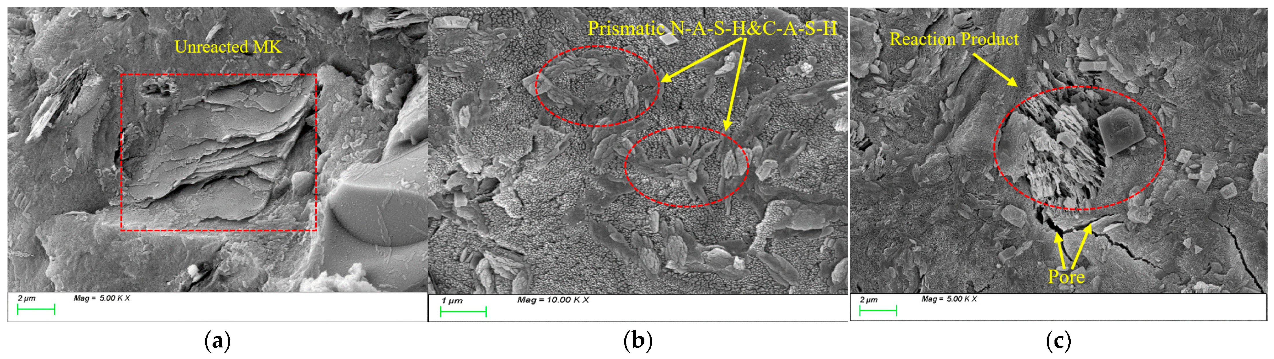 Nanomaterials 15 01051 g015