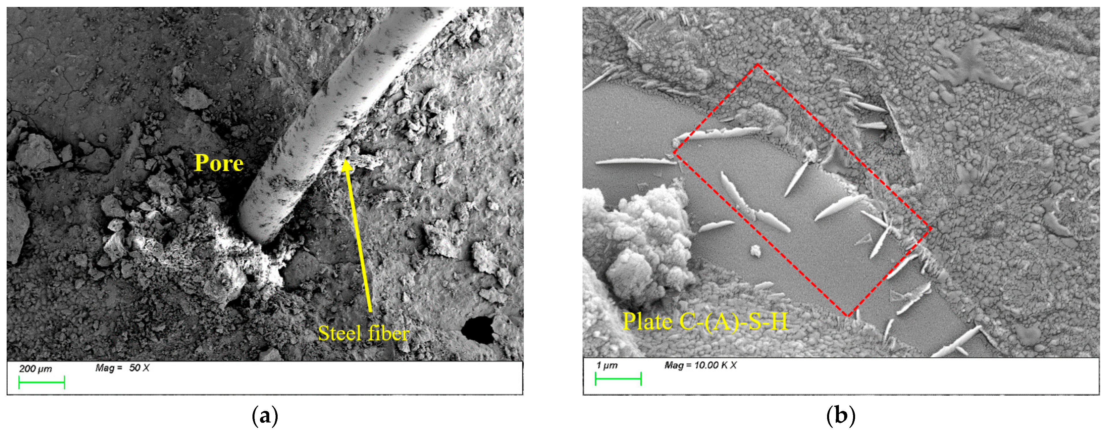 Nanomaterials 15 01051 g017