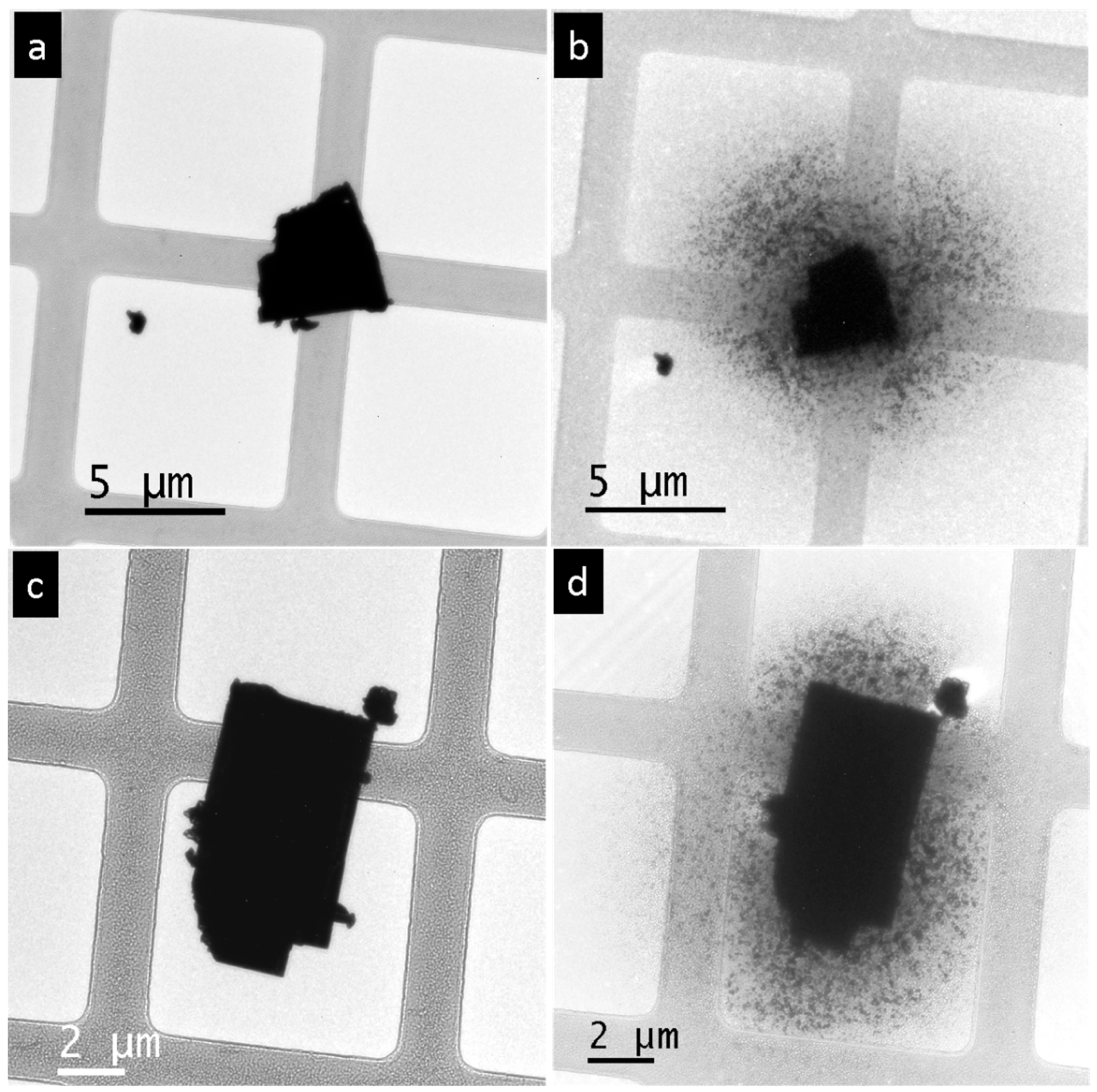 Nanomaterials 15 01275 g004 Nanomaterials 15 01275 g004