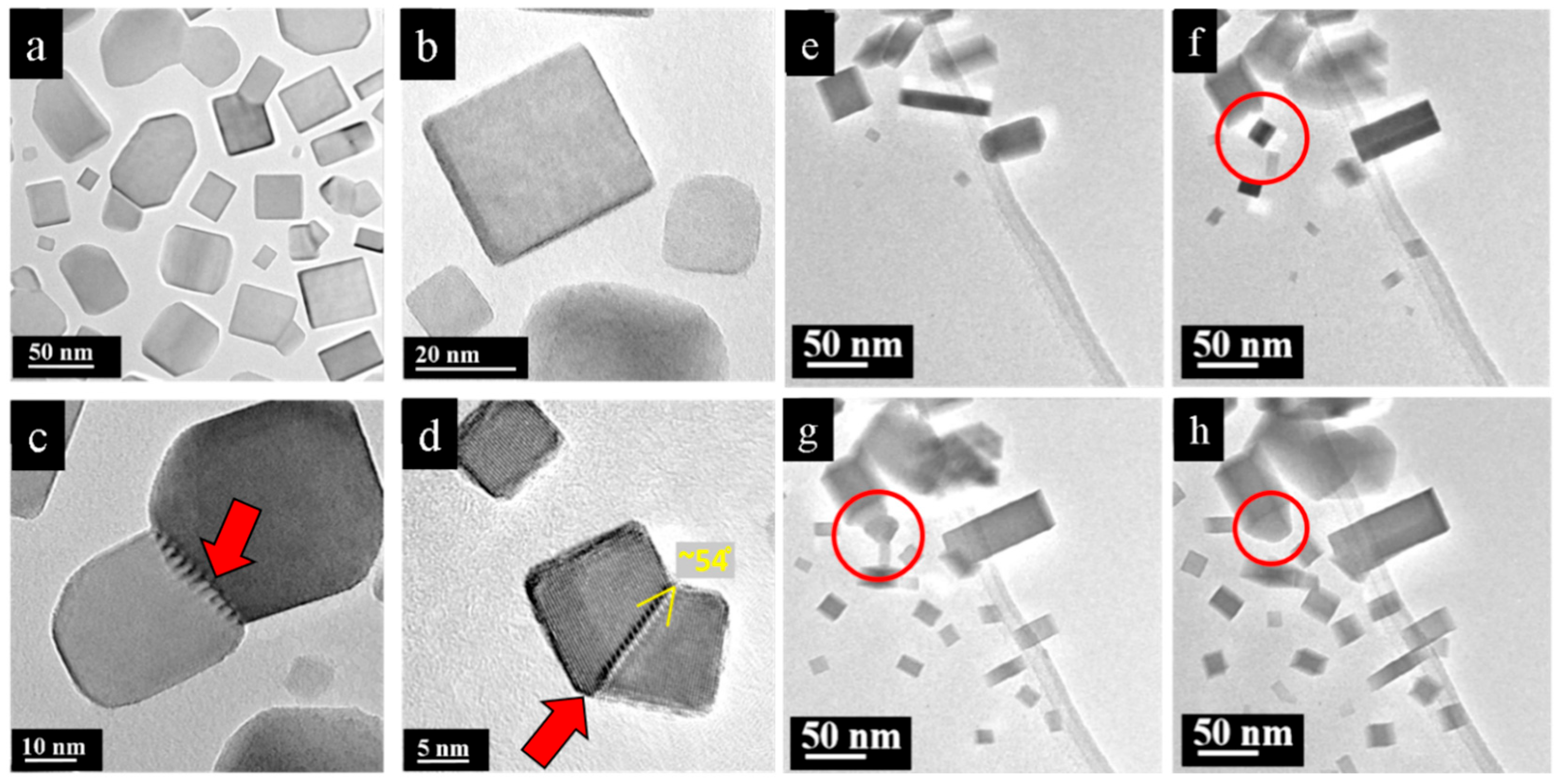 Nanomaterials 15 01275 g007 Nanomaterials 15 01275 g007