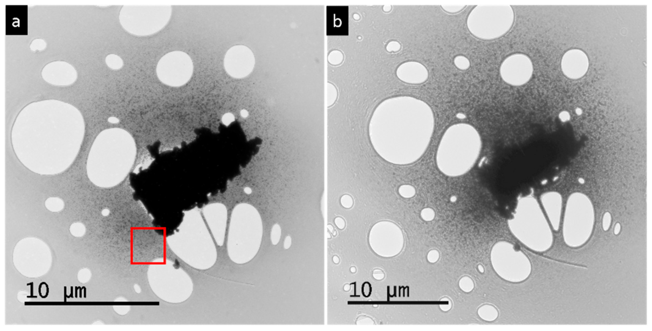 Nanomaterials 15 01275 g011a Nanomaterials 15 01275 g011a
