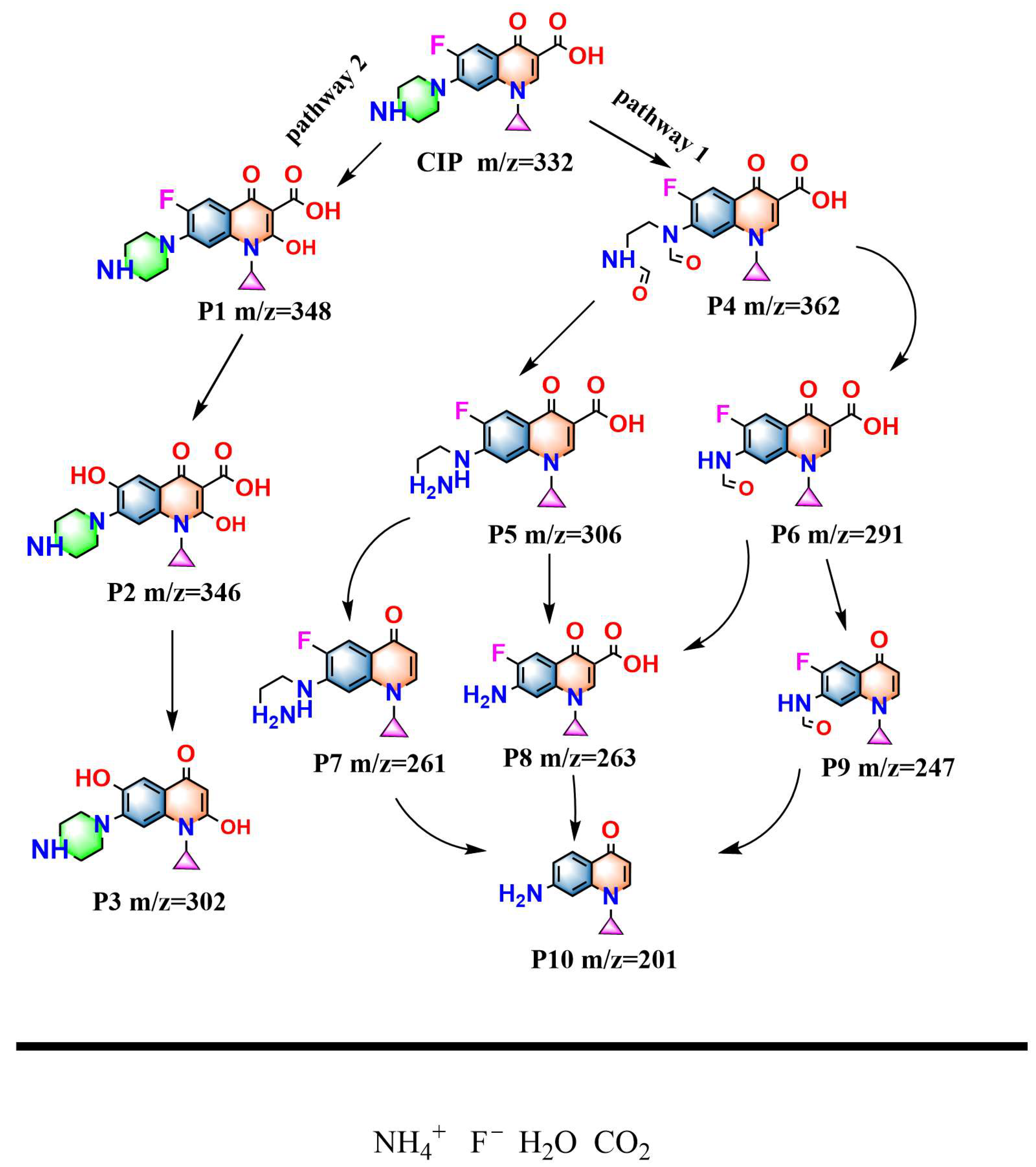 Nanomaterials 15 01290 g014 Nanomaterials 15 01290 g014