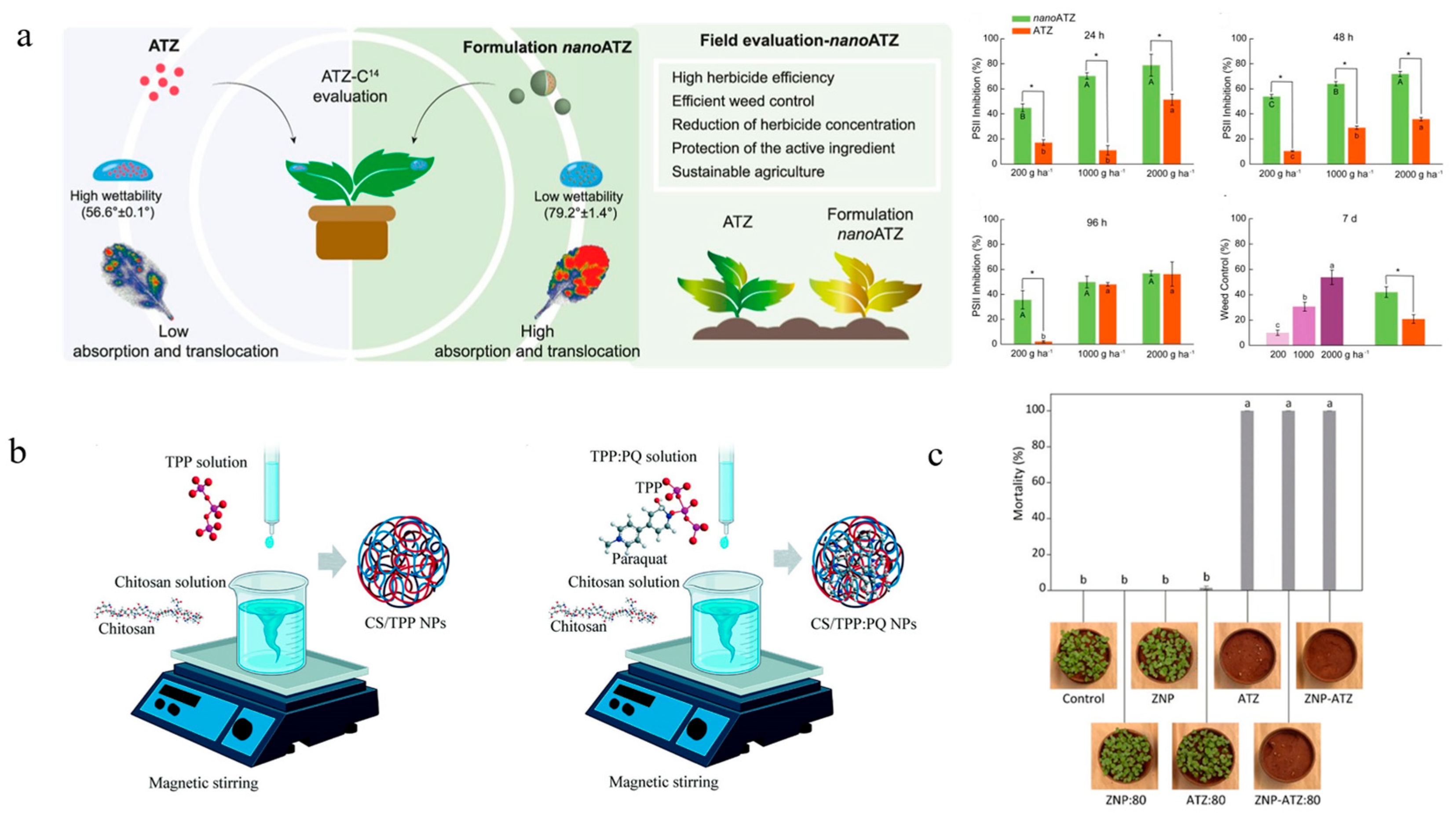 Nanomaterials 15 01304 g002 Nanomaterials 15 01304 g002