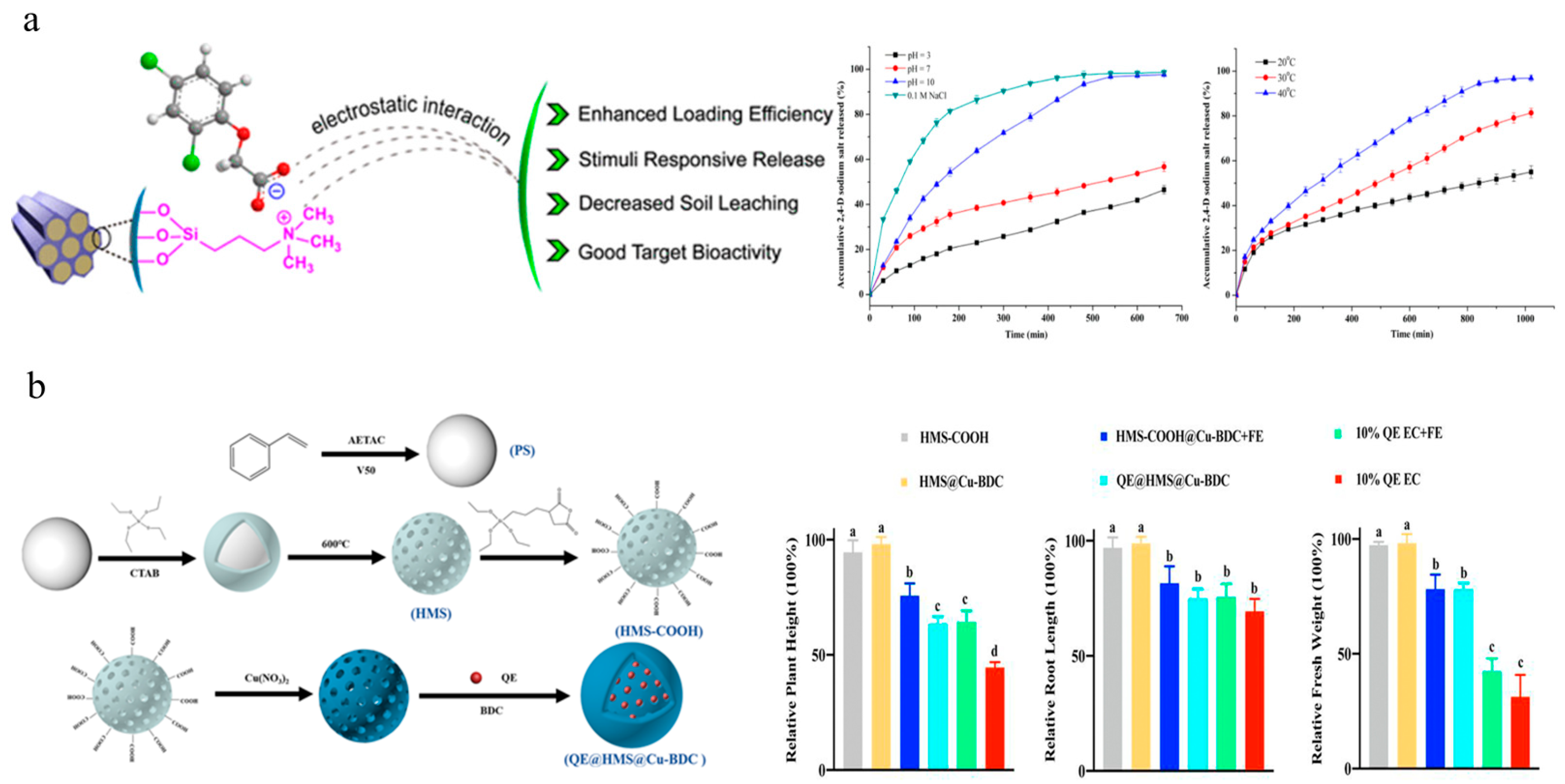 Nanomaterials 15 01304 g004 Nanomaterials 15 01304 g004