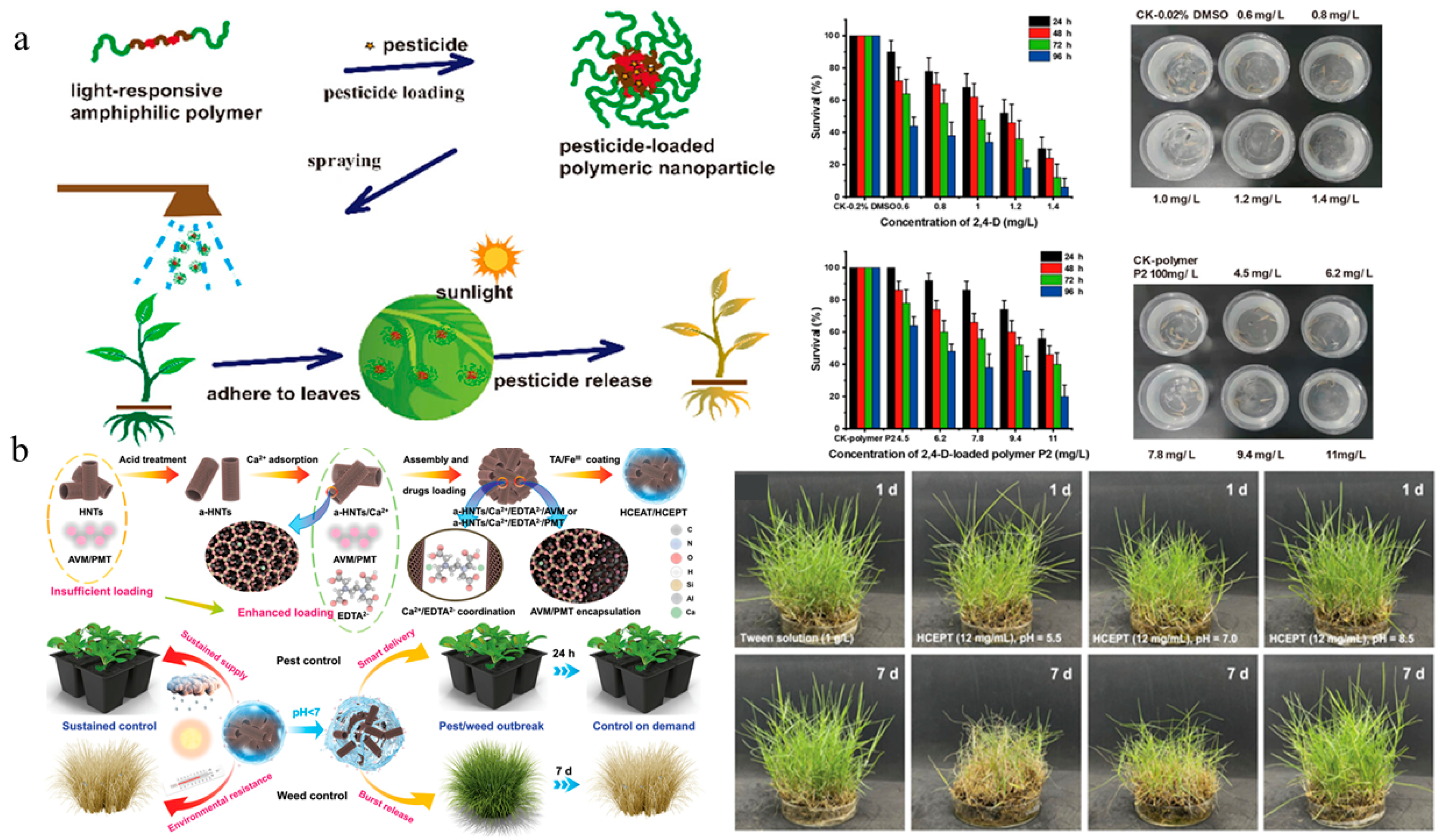 Nanomaterials 15 01304 g007 Nanomaterials 15 01304 g007