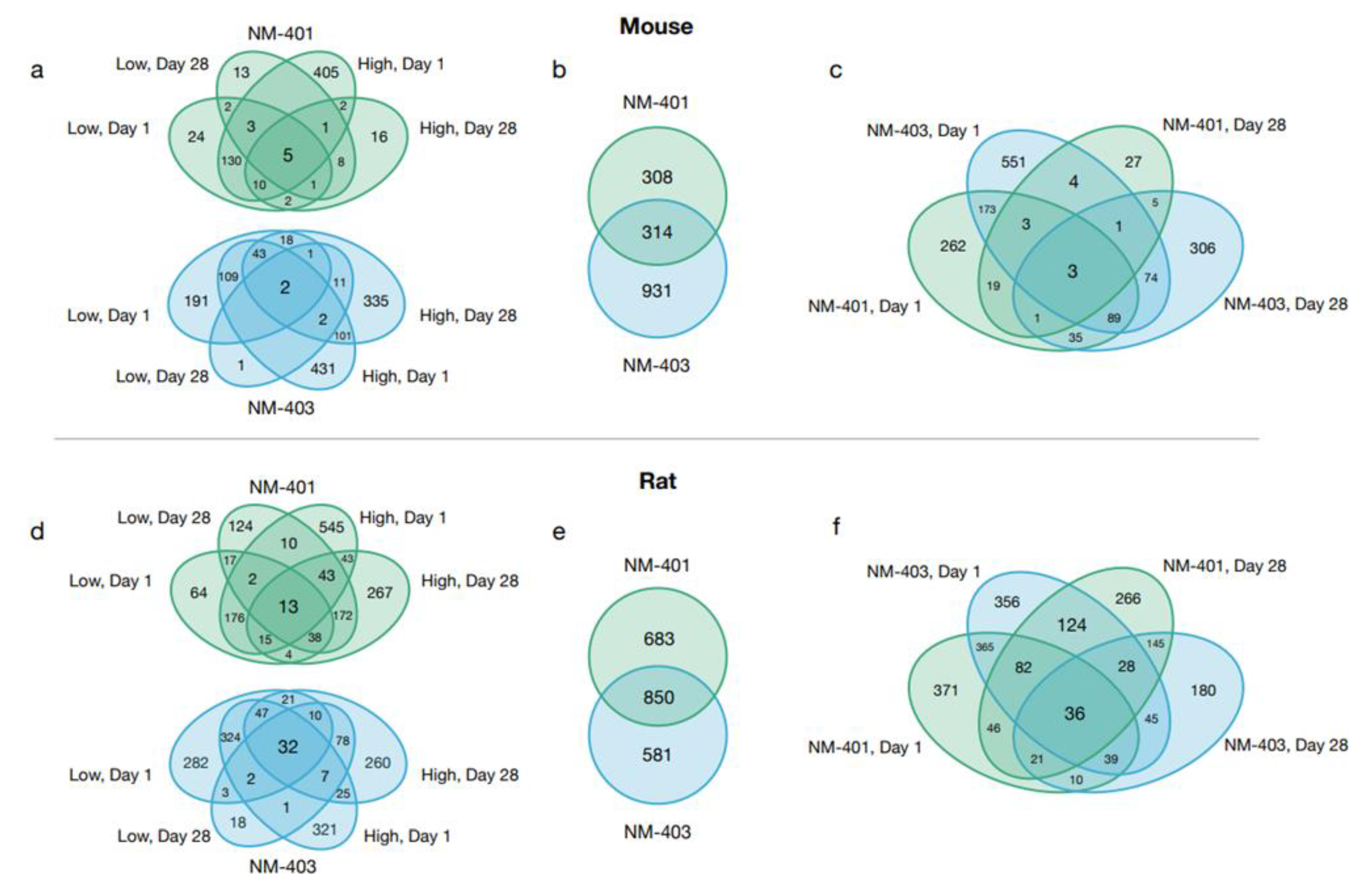 Nanomaterials 15 01364 g004 Nanomaterials 15 01364 g004