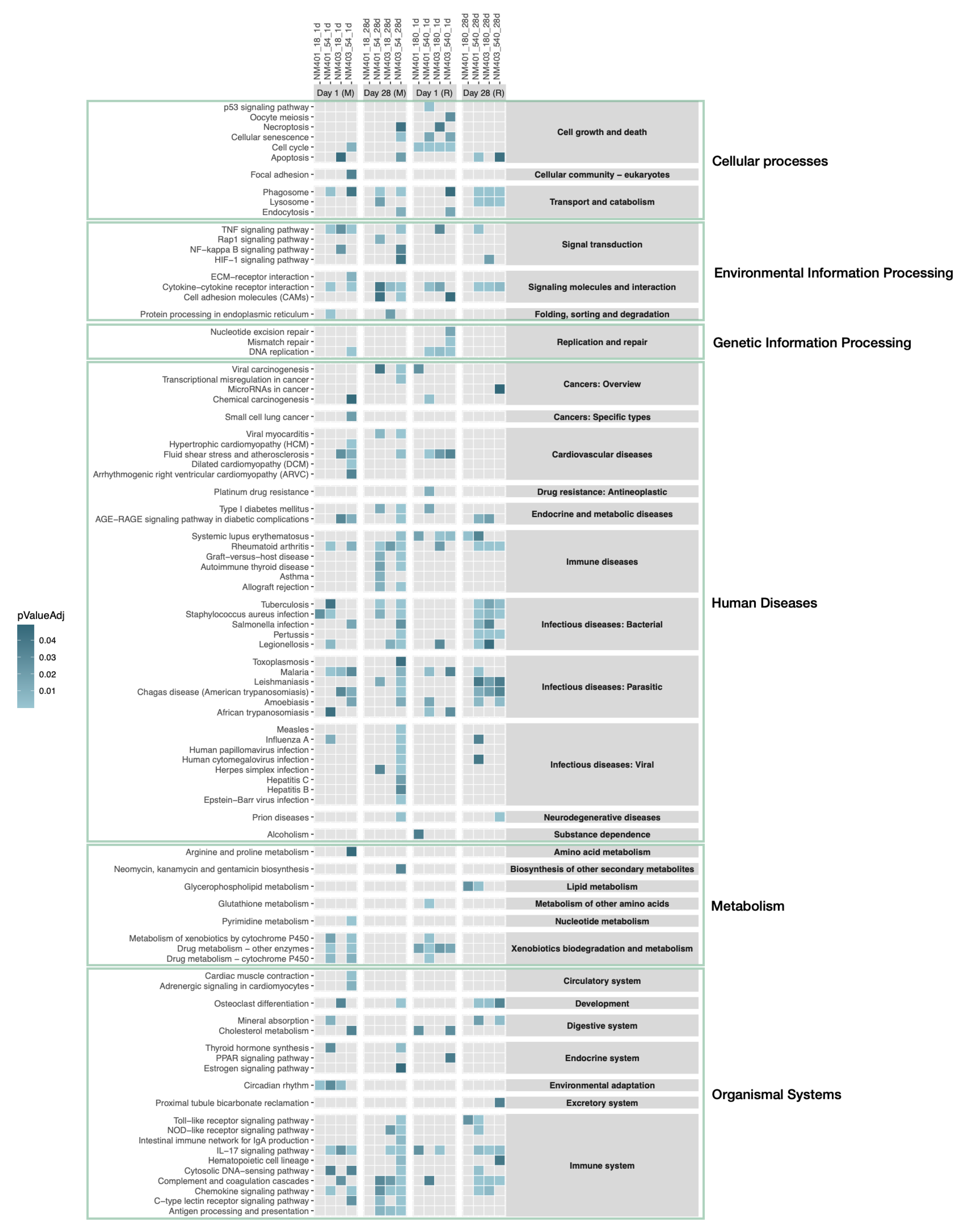 Nanomaterials 15 01364 g007 Nanomaterials 15 01364 g007
