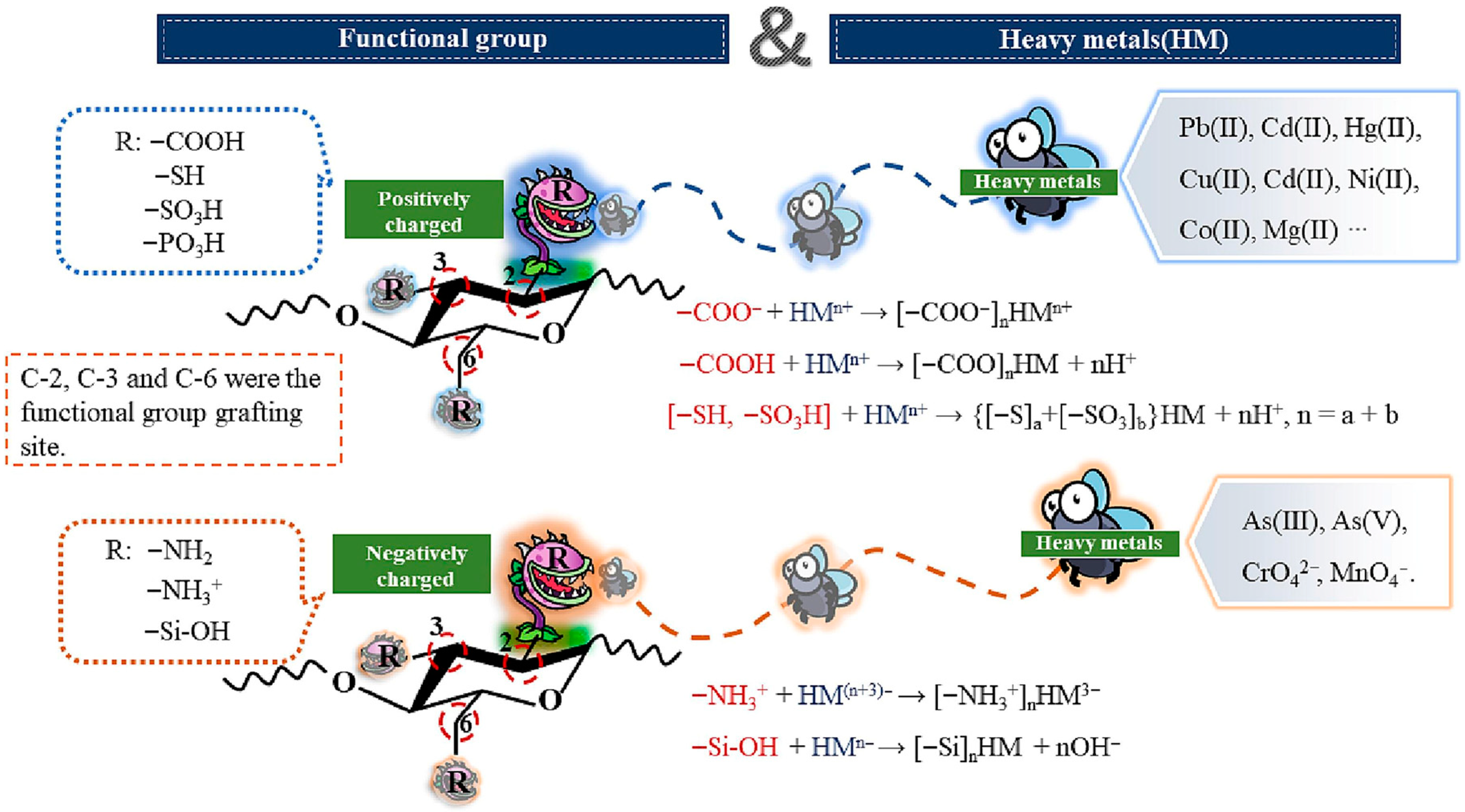 Nanomaterials 15 01425 g007 Nanomaterials 15 01425 g007
