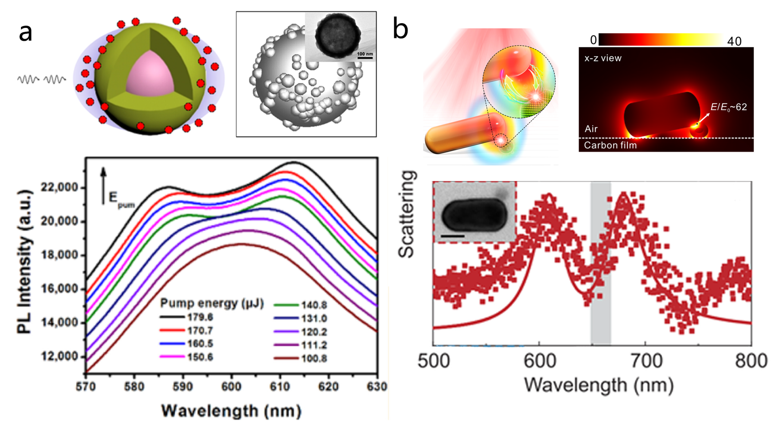 Nanomaterials 15 01463 g005 Nanomaterials 15 01463 g005