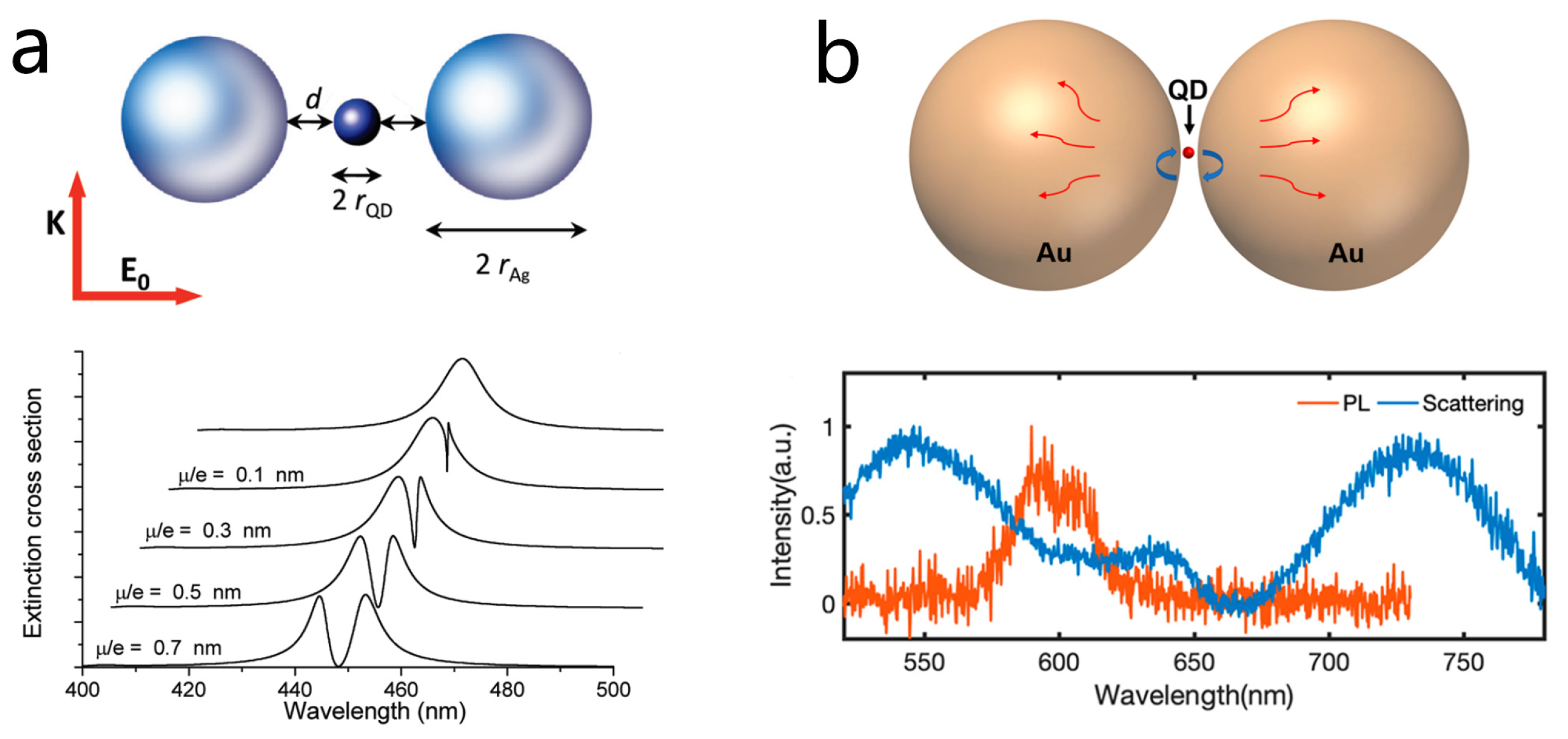 Nanomaterials 15 01463 g006 Nanomaterials 15 01463 g006