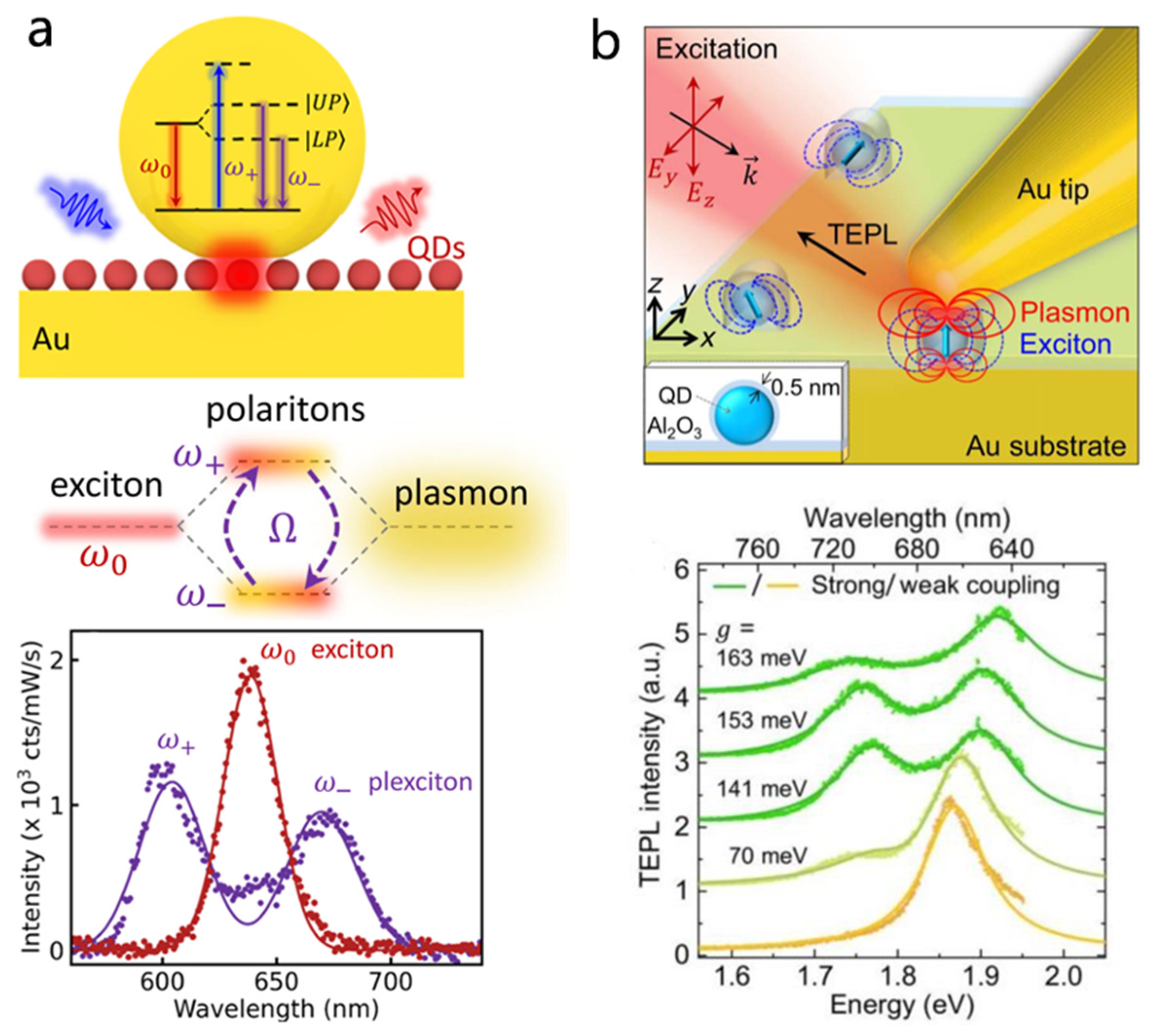 Nanomaterials 15 01463 g008 Nanomaterials 15 01463 g008