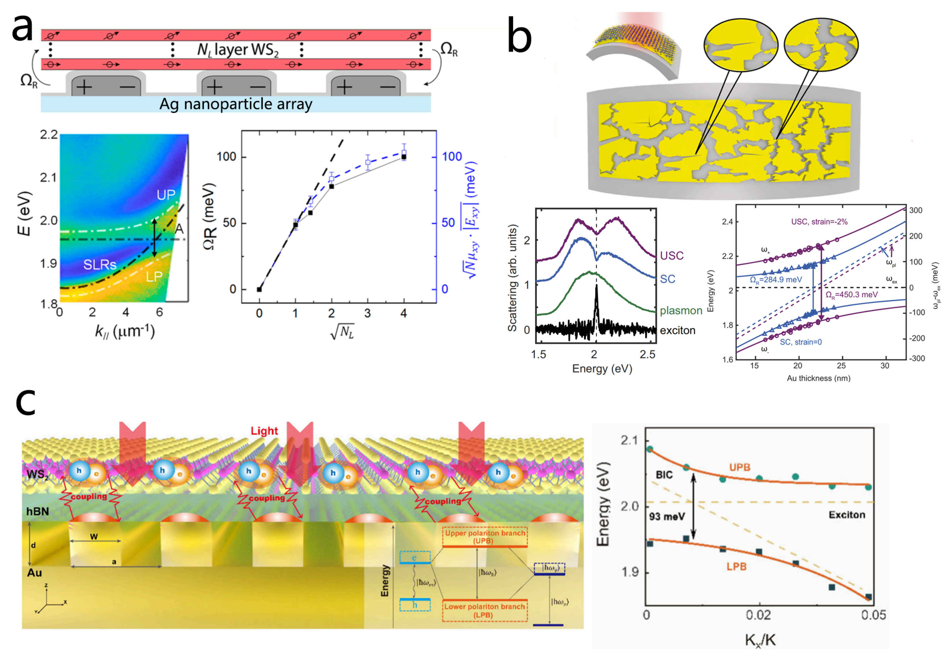 Nanomaterials 15 01463 g013 Nanomaterials 15 01463 g013