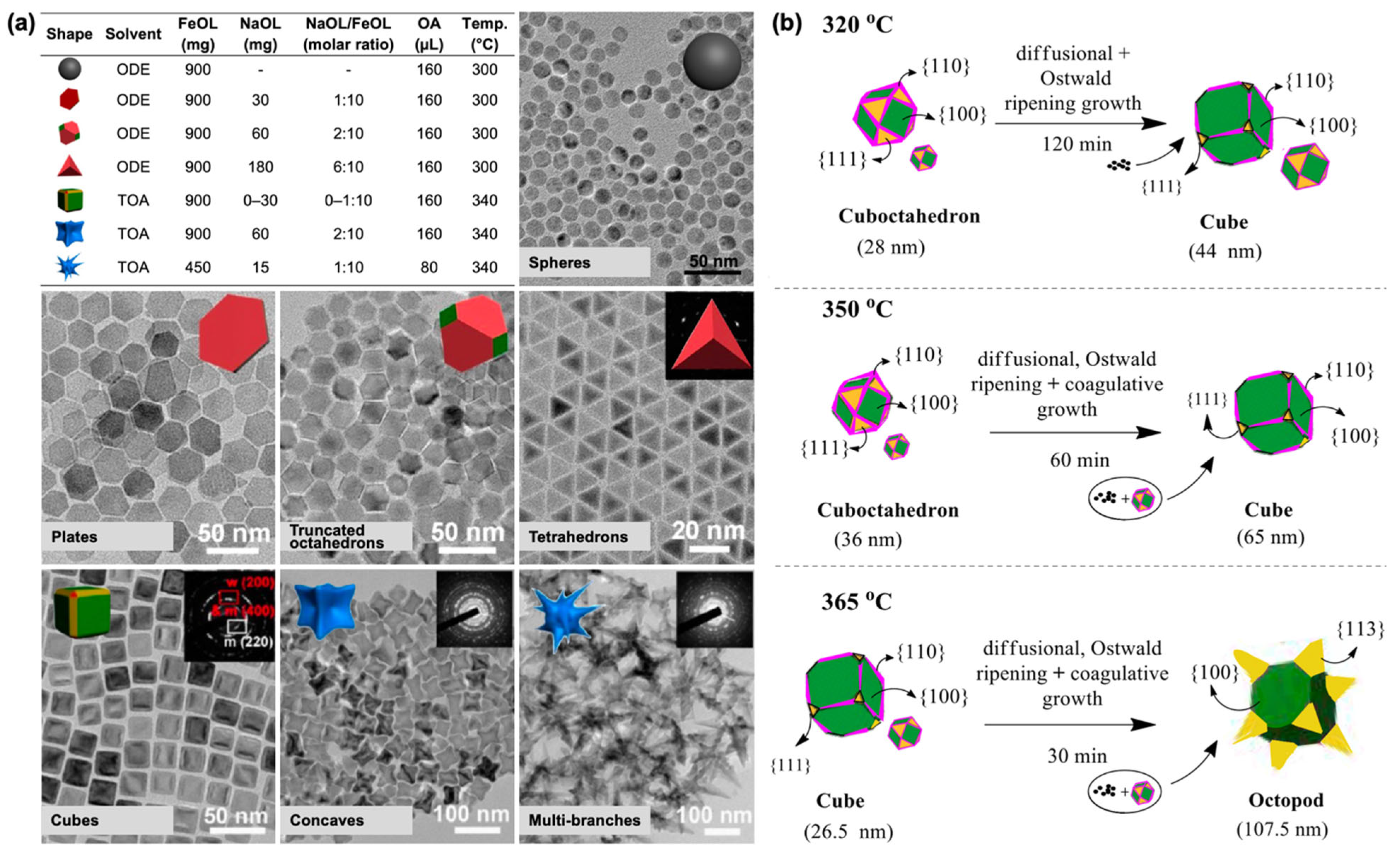 Nanomaterials 15 01500 g001 Nanomaterials 15 01500 g001
