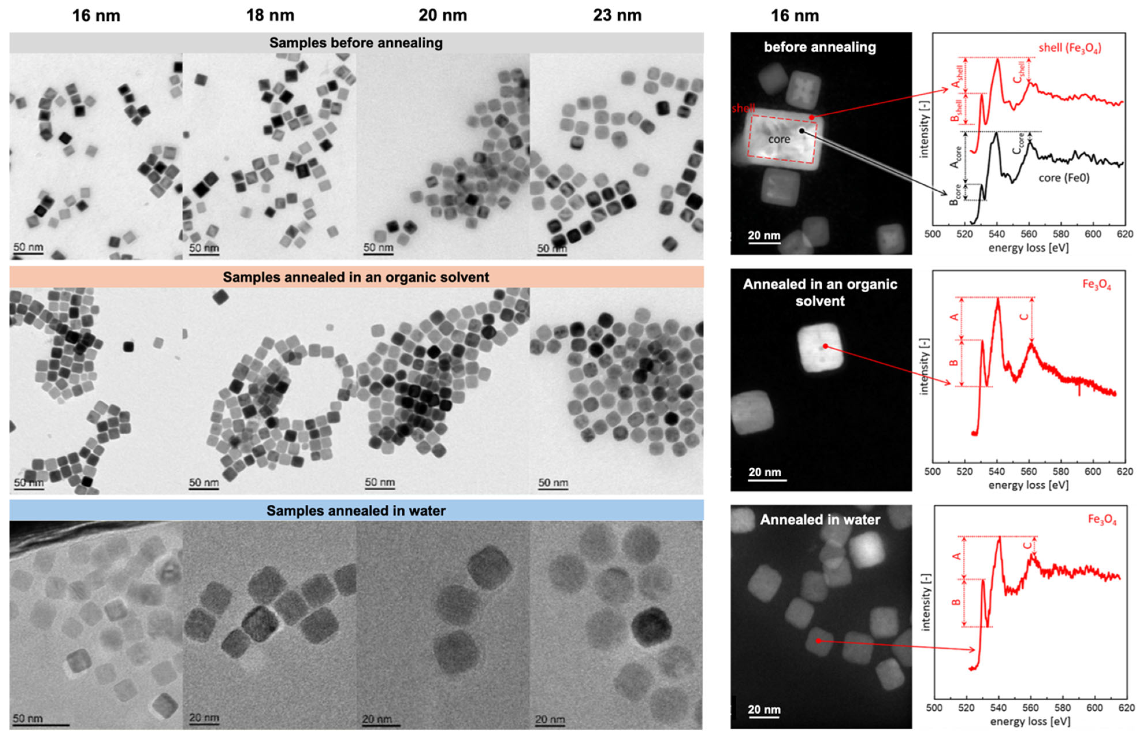 Nanomaterials 15 01500 g005 Nanomaterials 15 01500 g005