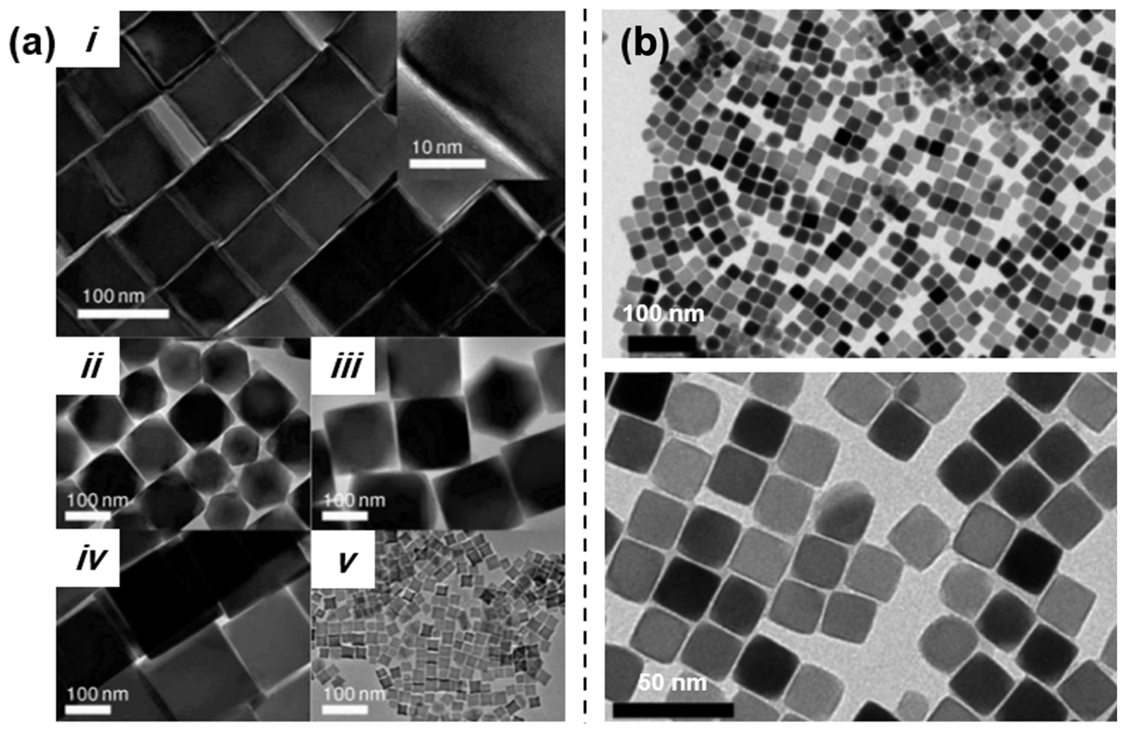 Nanomaterials 15 01500 g008 Nanomaterials 15 01500 g008