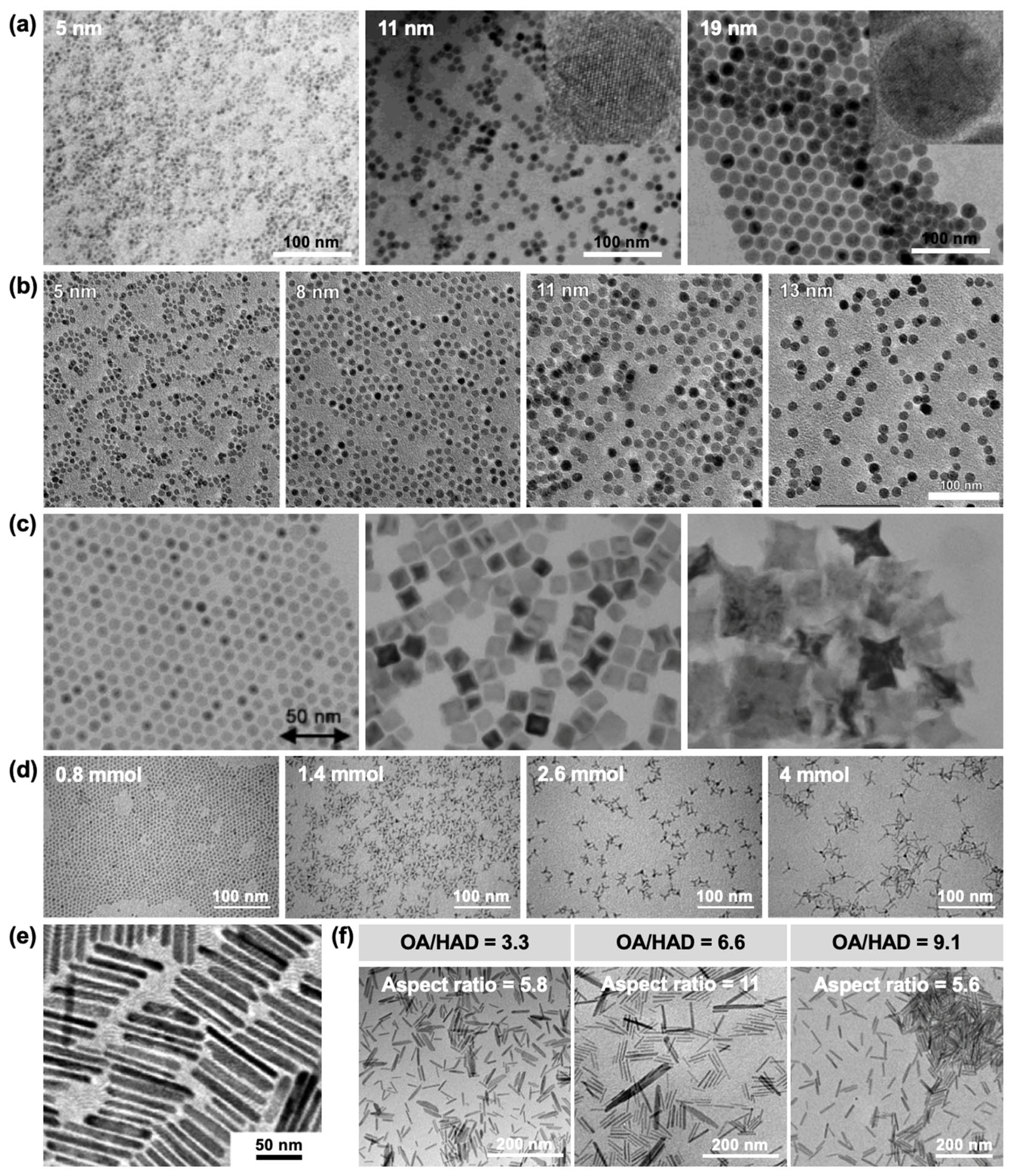 Nanomaterials 15 01500 g013 Nanomaterials 15 01500 g013