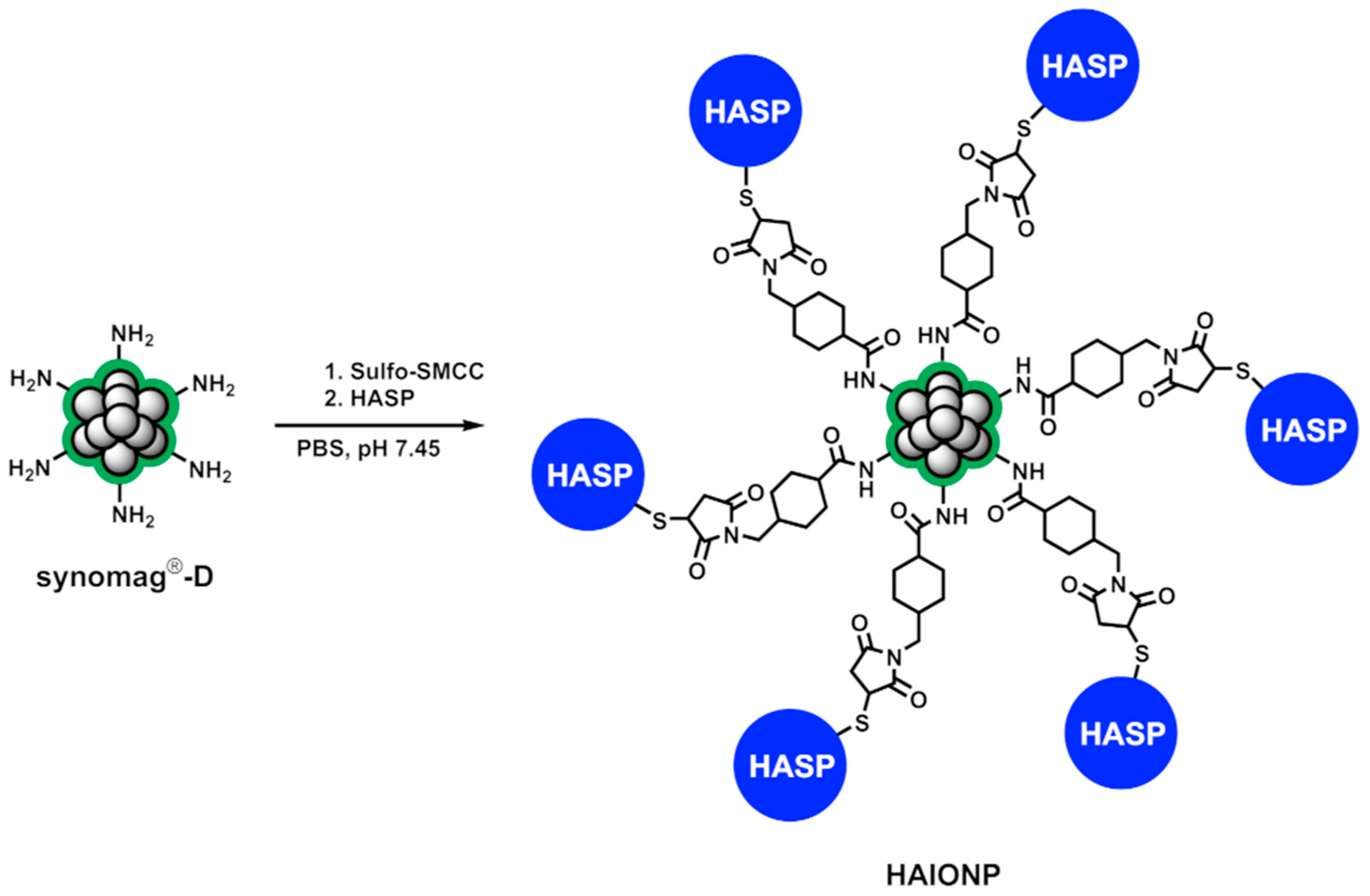 Nanomaterials 15 01505 g001 Nanomaterials 15 01505 g001