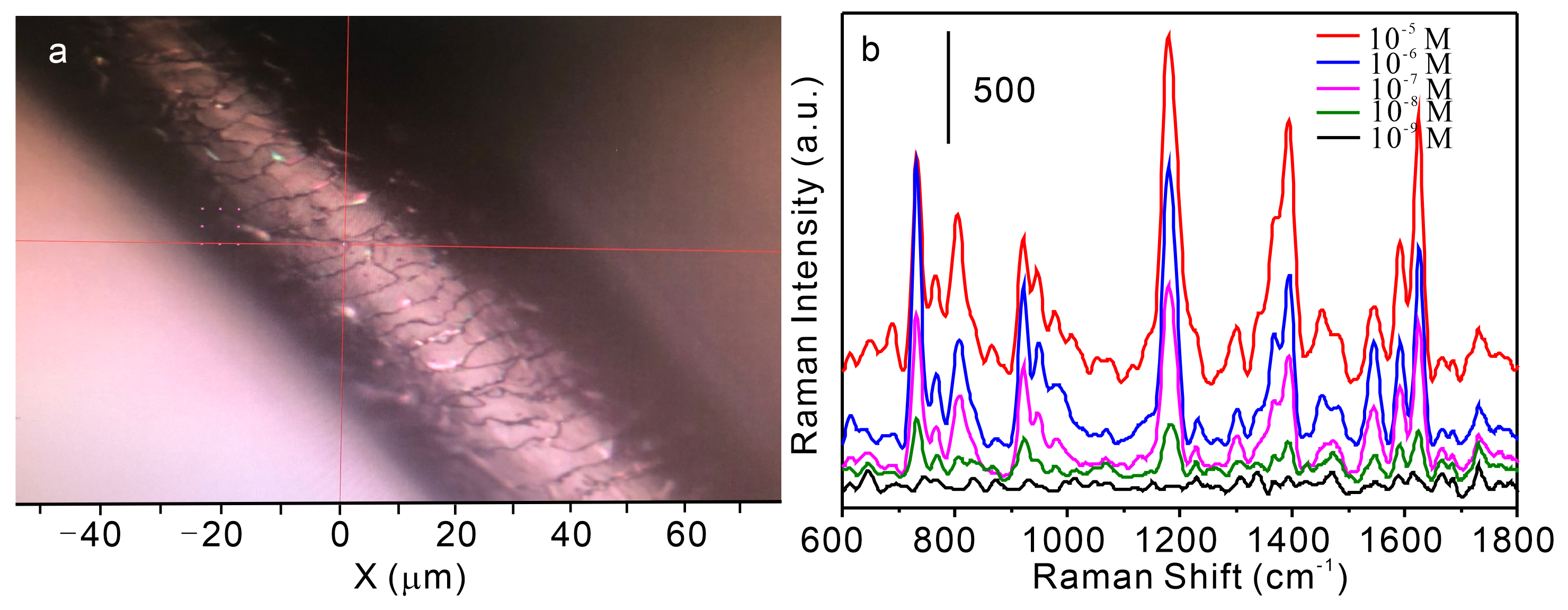 Nanomaterials 15 01557 g003 Nanomaterials 15 01557 g003