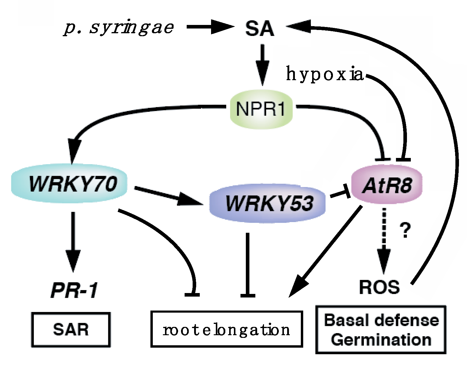 Hex hypoxia фото