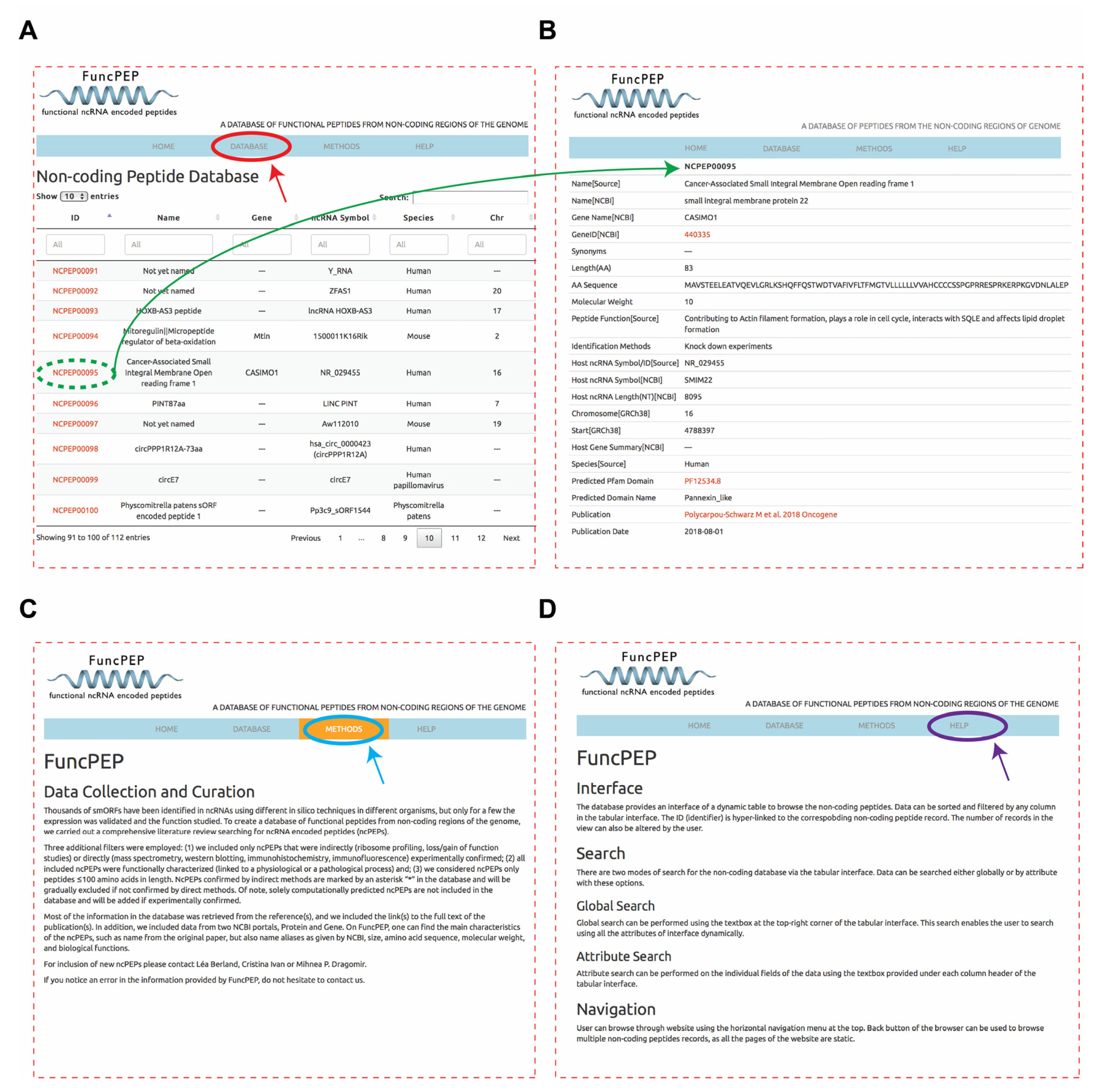 Ncrna 06 00041 g002 Ncrna 06 00041 g002