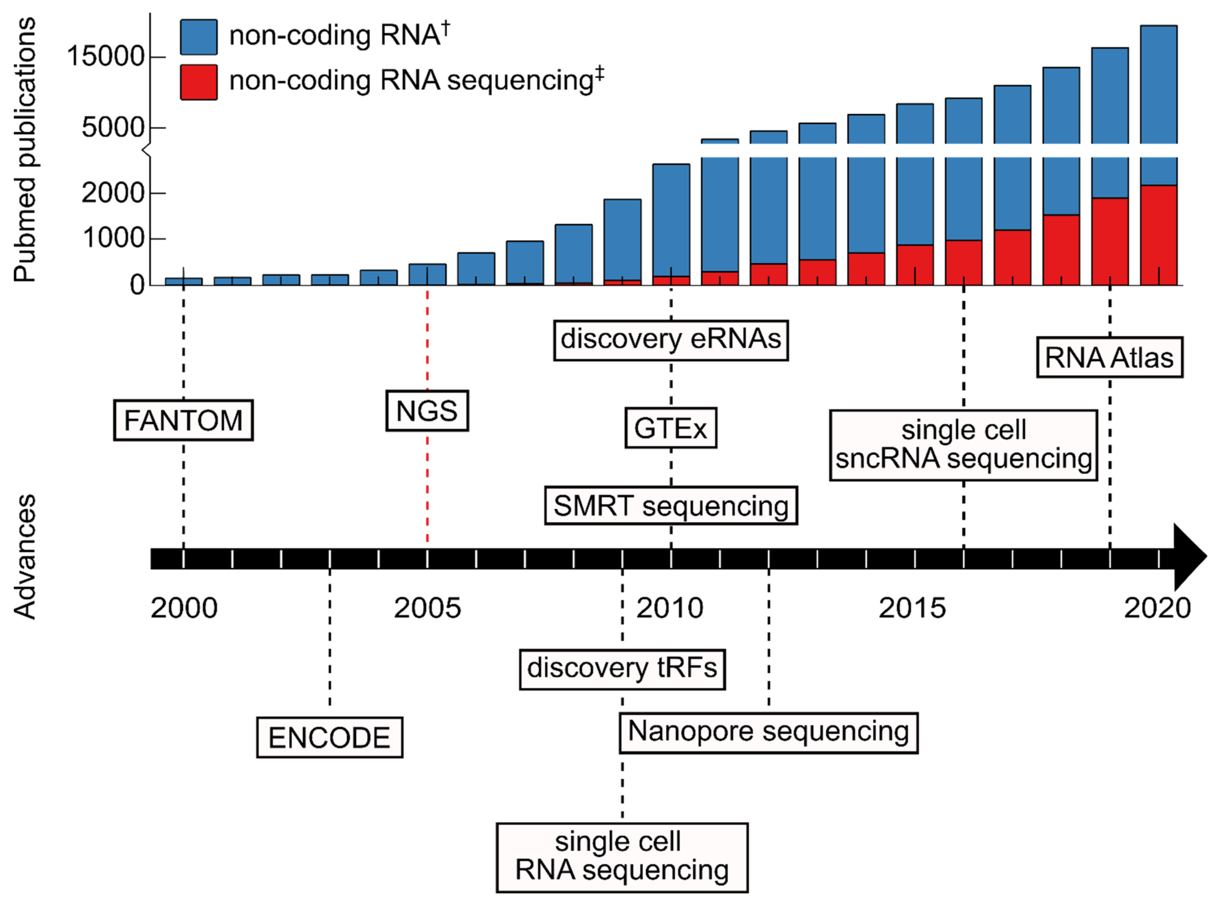 ncRNA Free FullText Advances in NonCoding RNA Sequencing