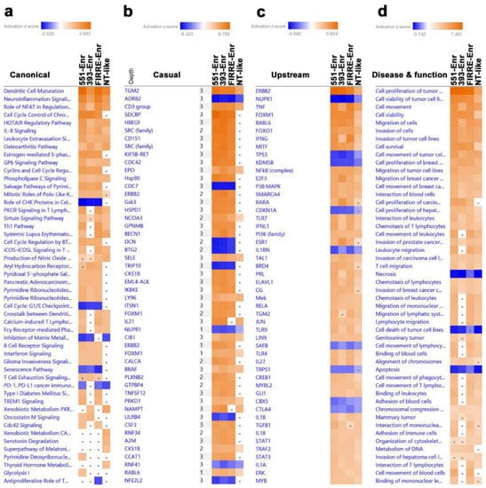 ncRNA | Free Full-Text | LncRNA-Based Classification of Triple Negative  Breast Cancer Revealed Inherent Tumor Heterogeneity and Vulnerabilities