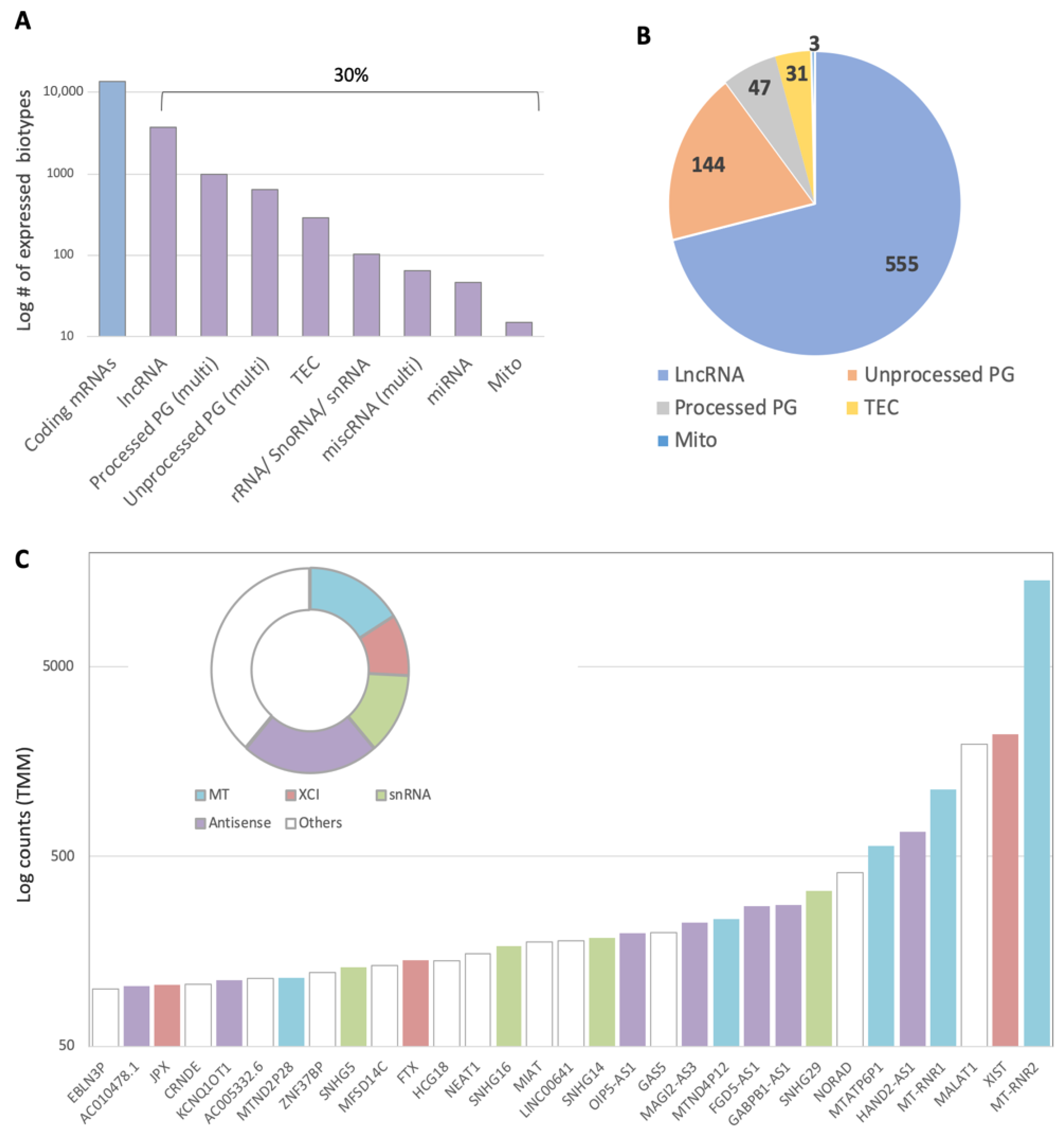 Ncrna 08 00072 g002 Ncrna 08 00072 g002