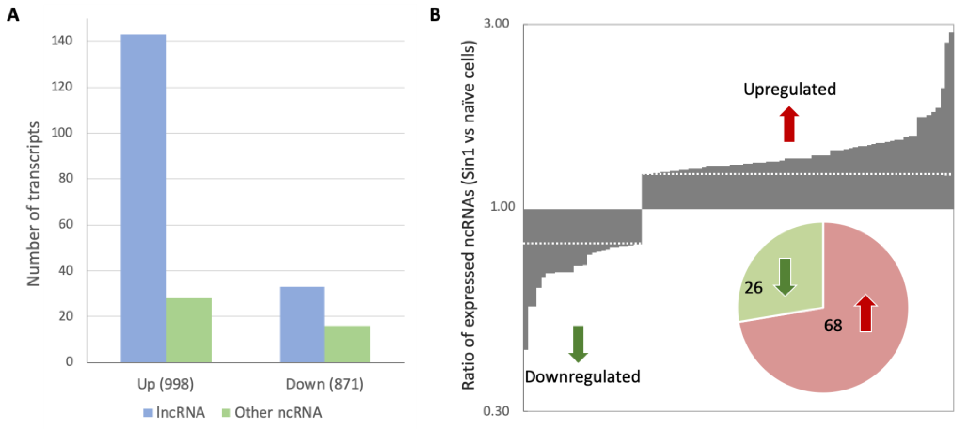 Ncrna 08 00072 g003 Ncrna 08 00072 g003