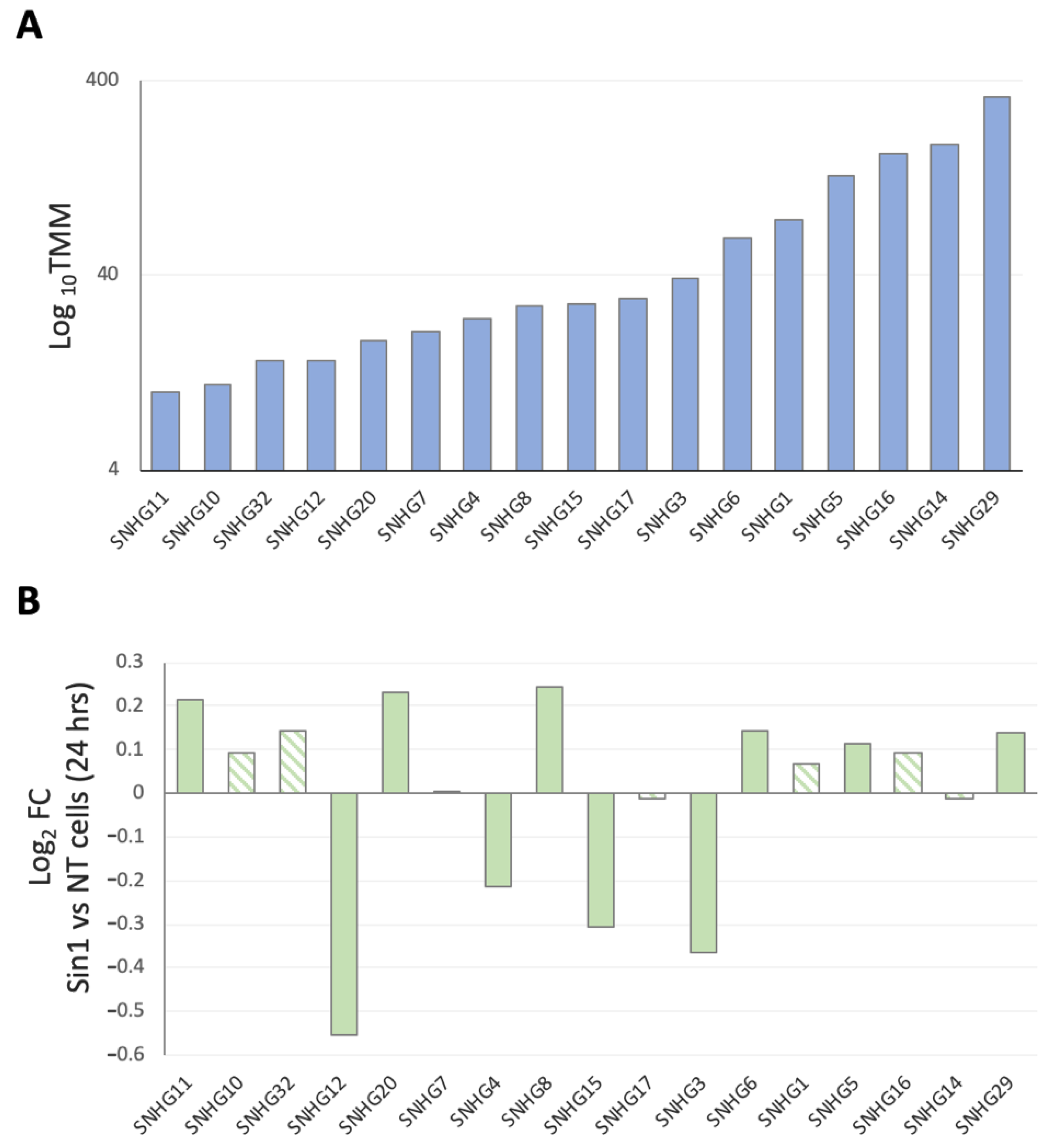 Ncrna 08 00072 g004 Ncrna 08 00072 g004