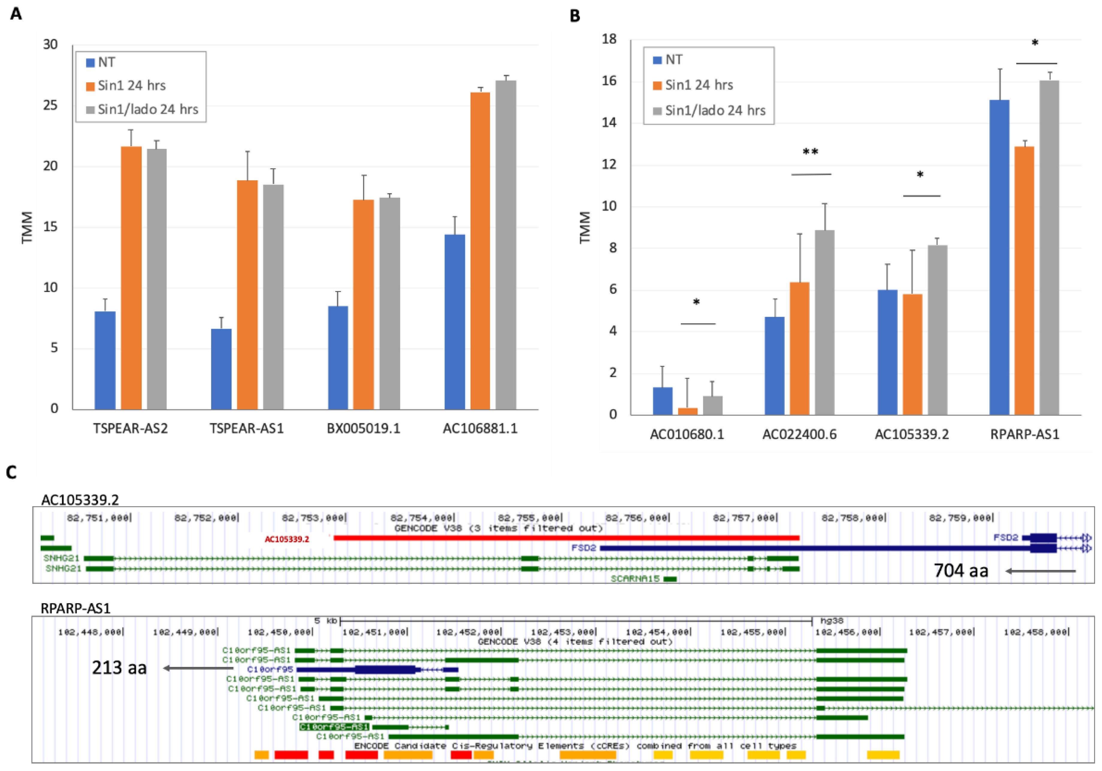Ncrna 08 00072 g005 Ncrna 08 00072 g005