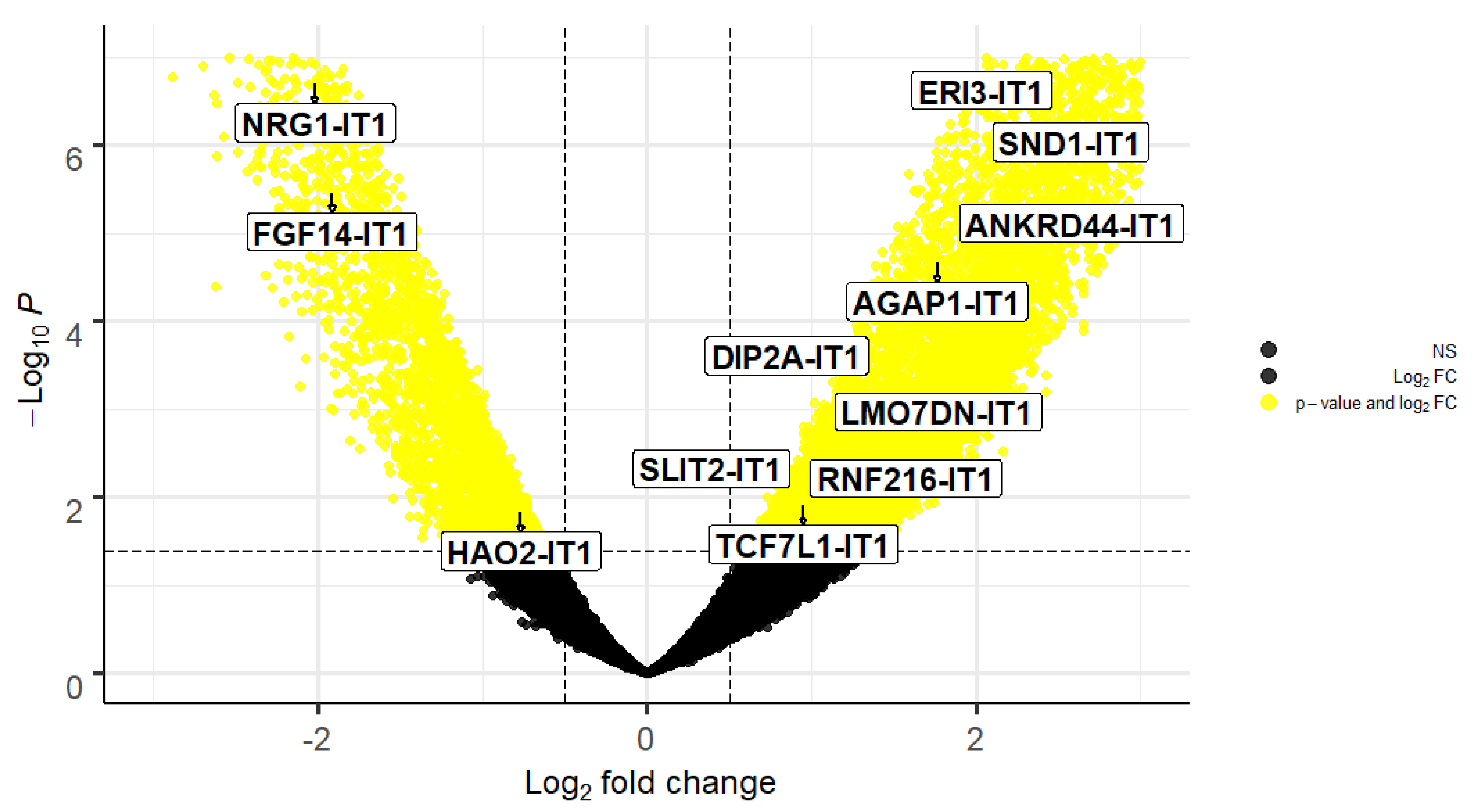 Ncrna 08 00073 g001 Ncrna 08 00073 g001